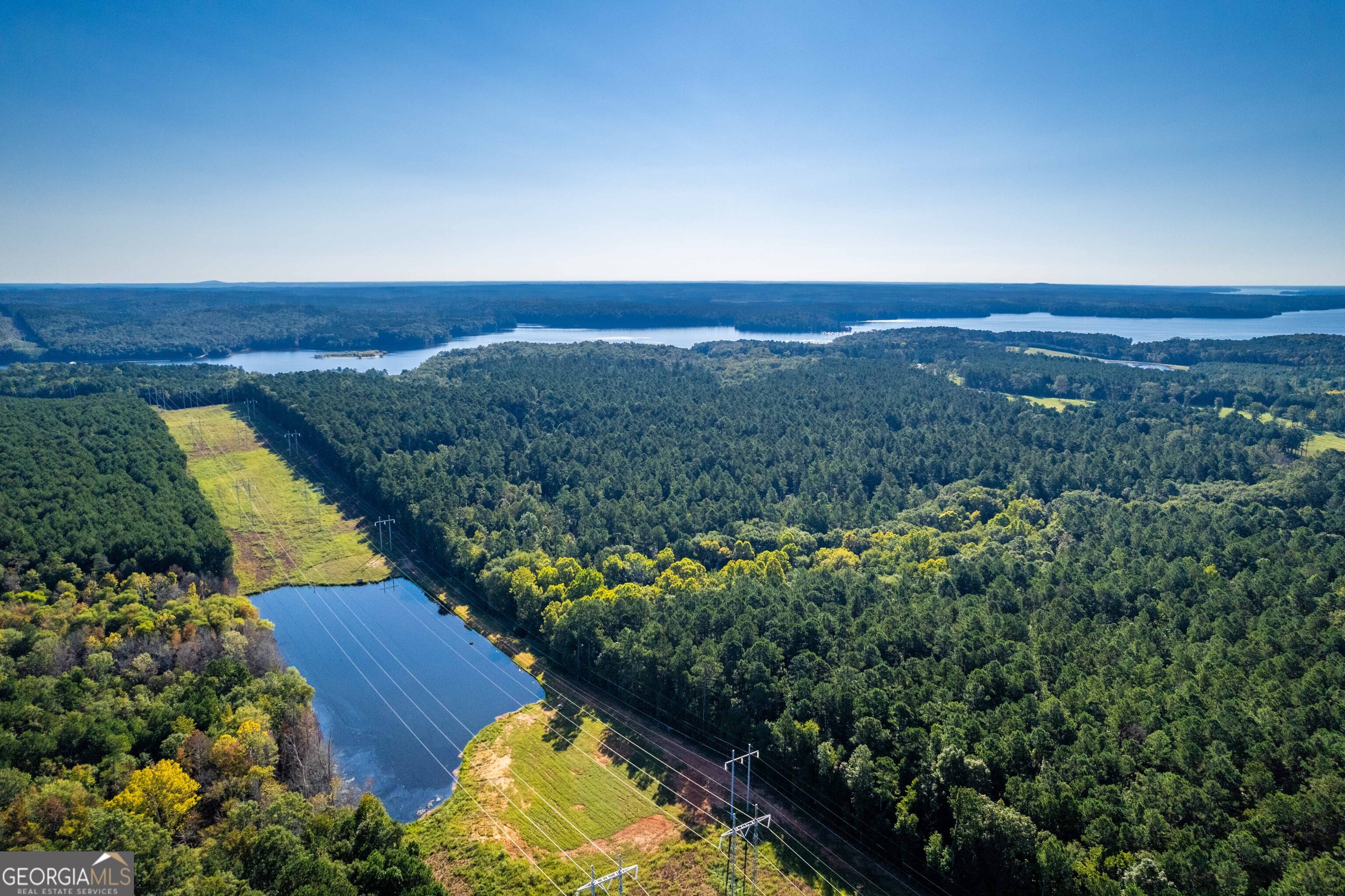 1876 Bobby Brown State Park Road Property Photo 8