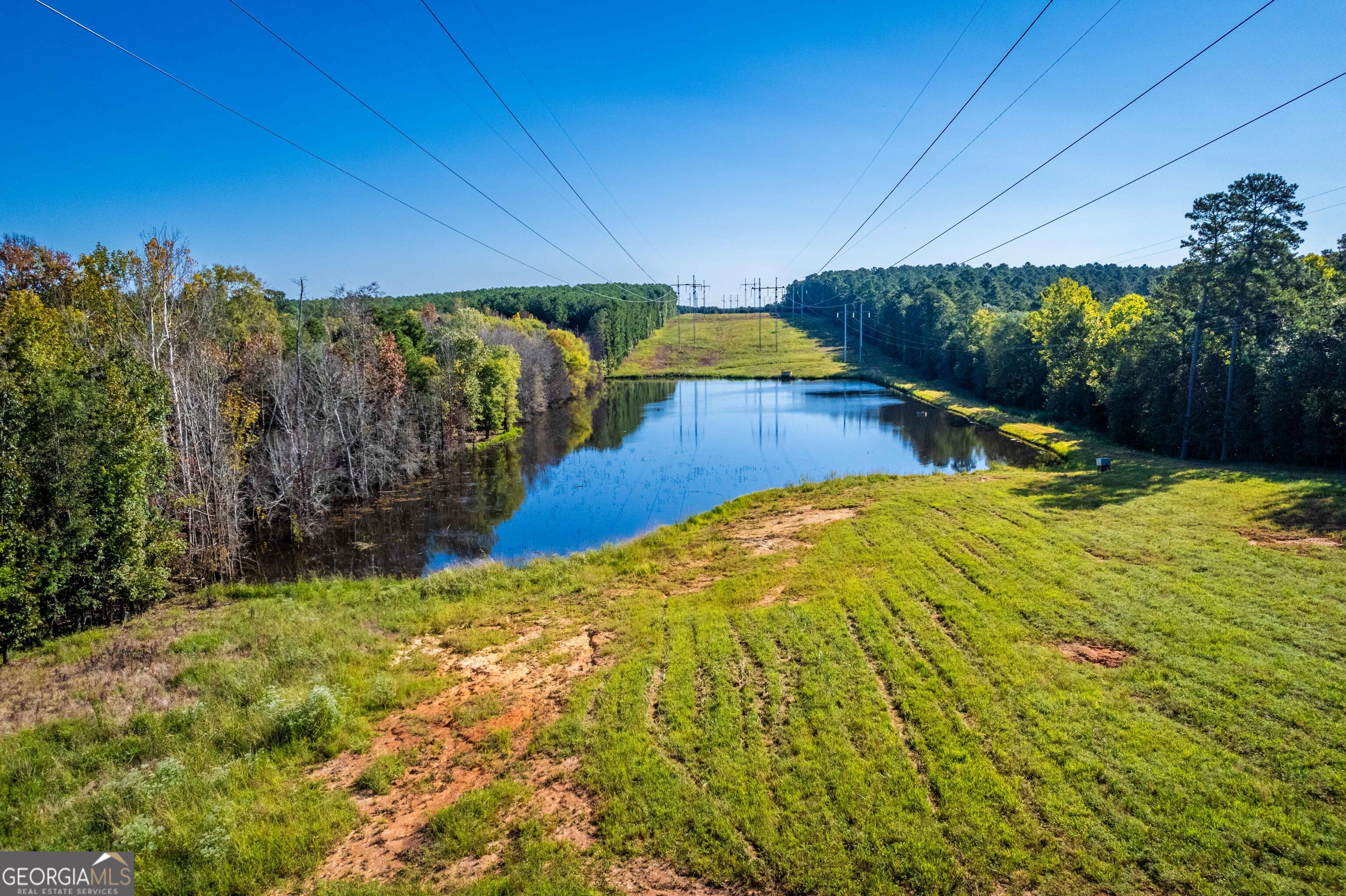 1876 Bobby Brown State Park Road Property Photo 13