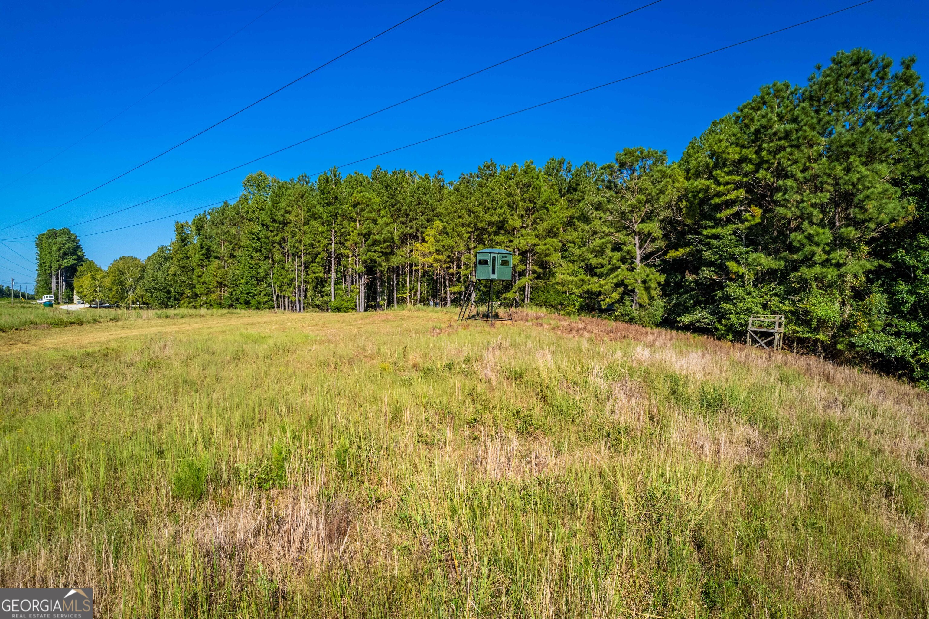 1876 Bobby Brown State Park Road Property Photo 14