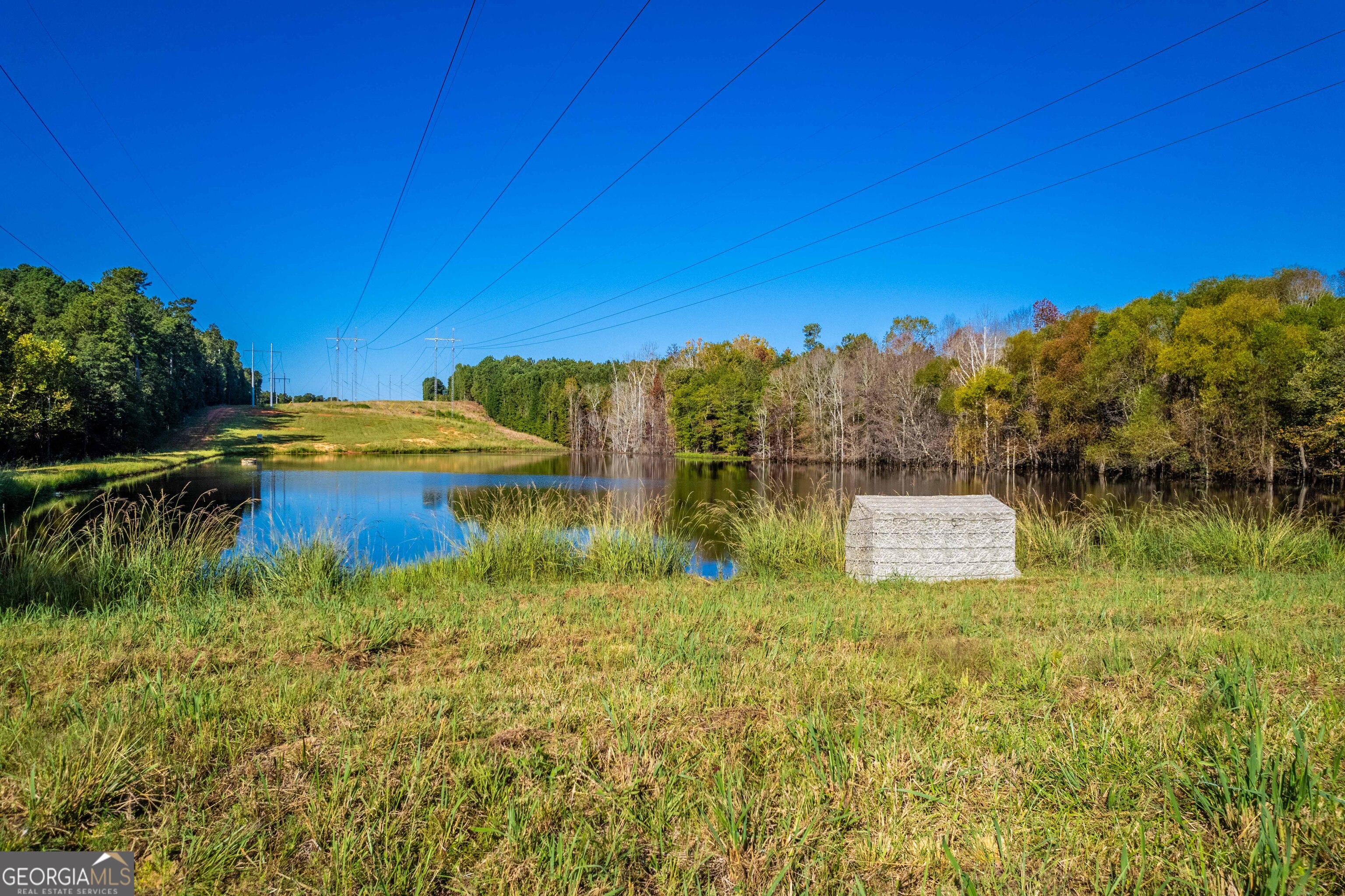 1876 Bobby Brown State Park Road Property Photo 15