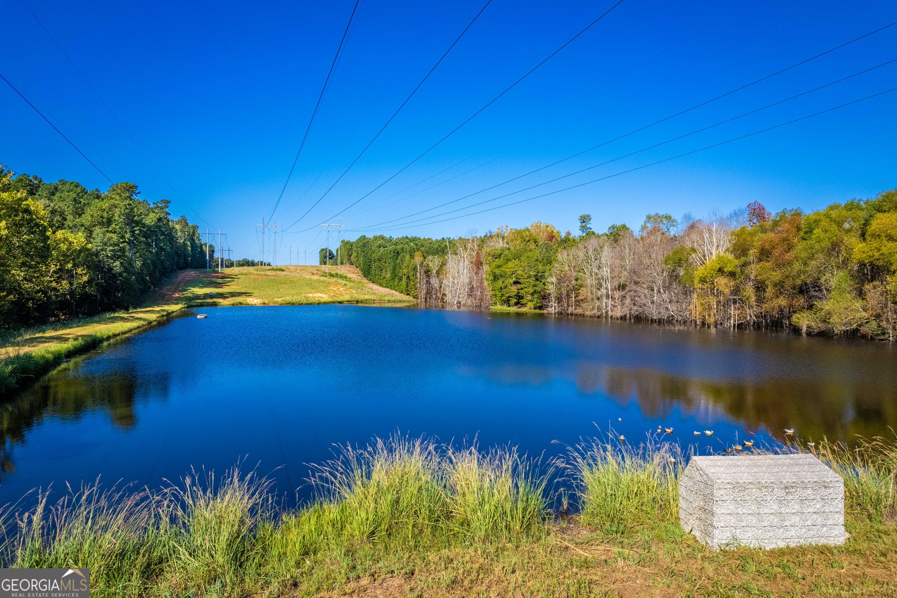 1876 Bobby Brown State Park Road Property Photo 17