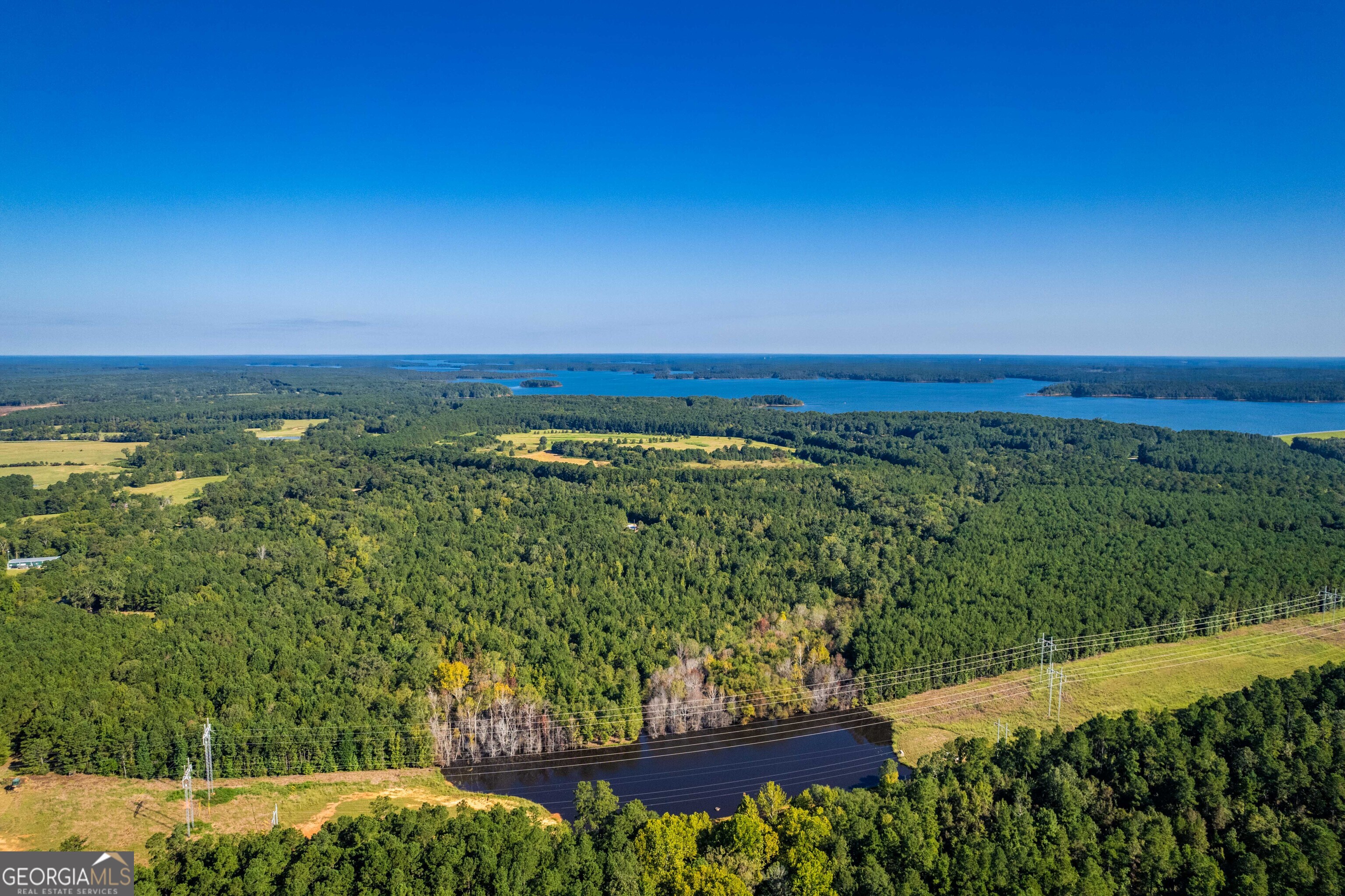 1876 Bobby Brown State Park Road Property Photo 19