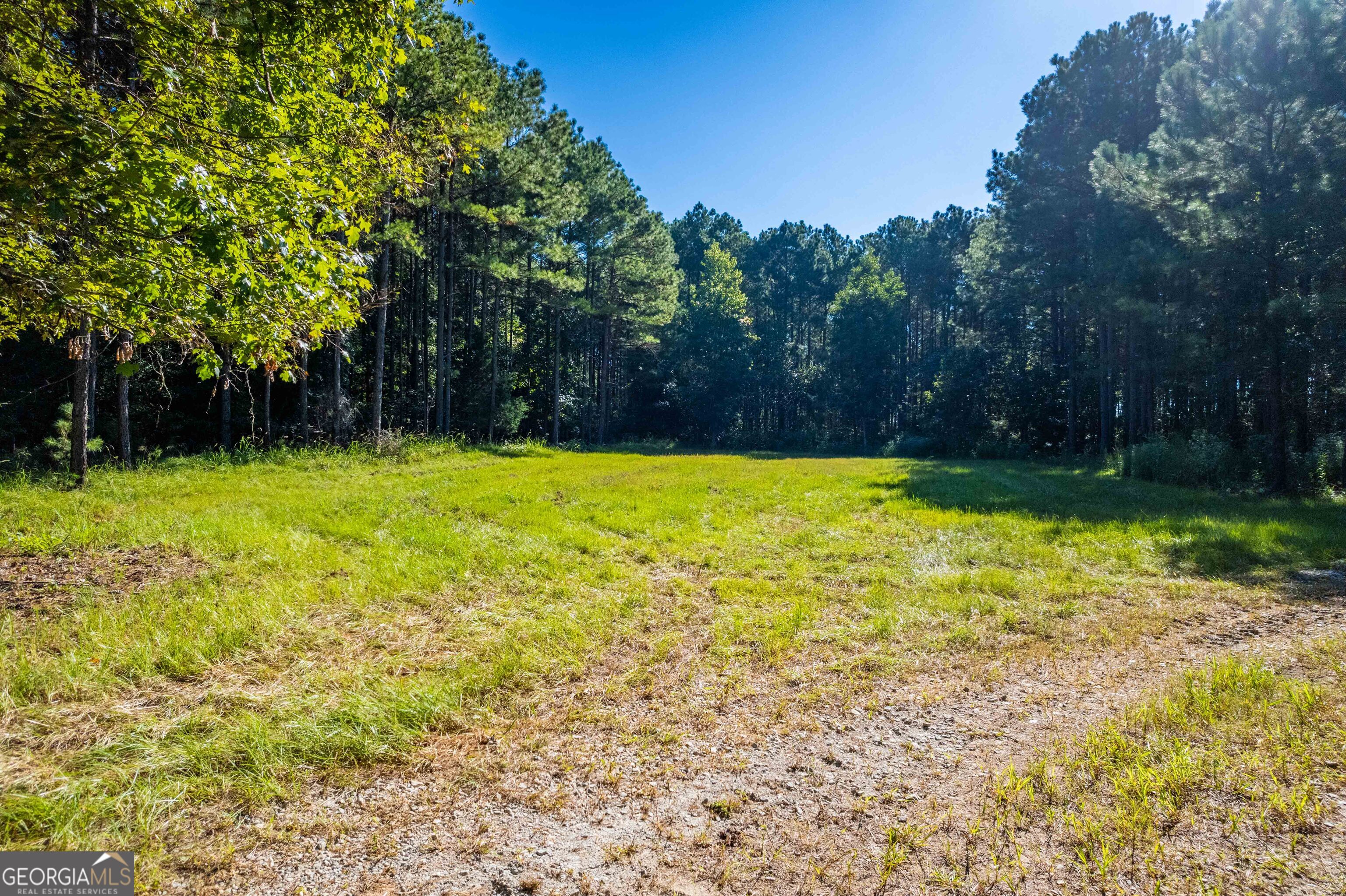 1876 Bobby Brown State Park Road Property Photo 20