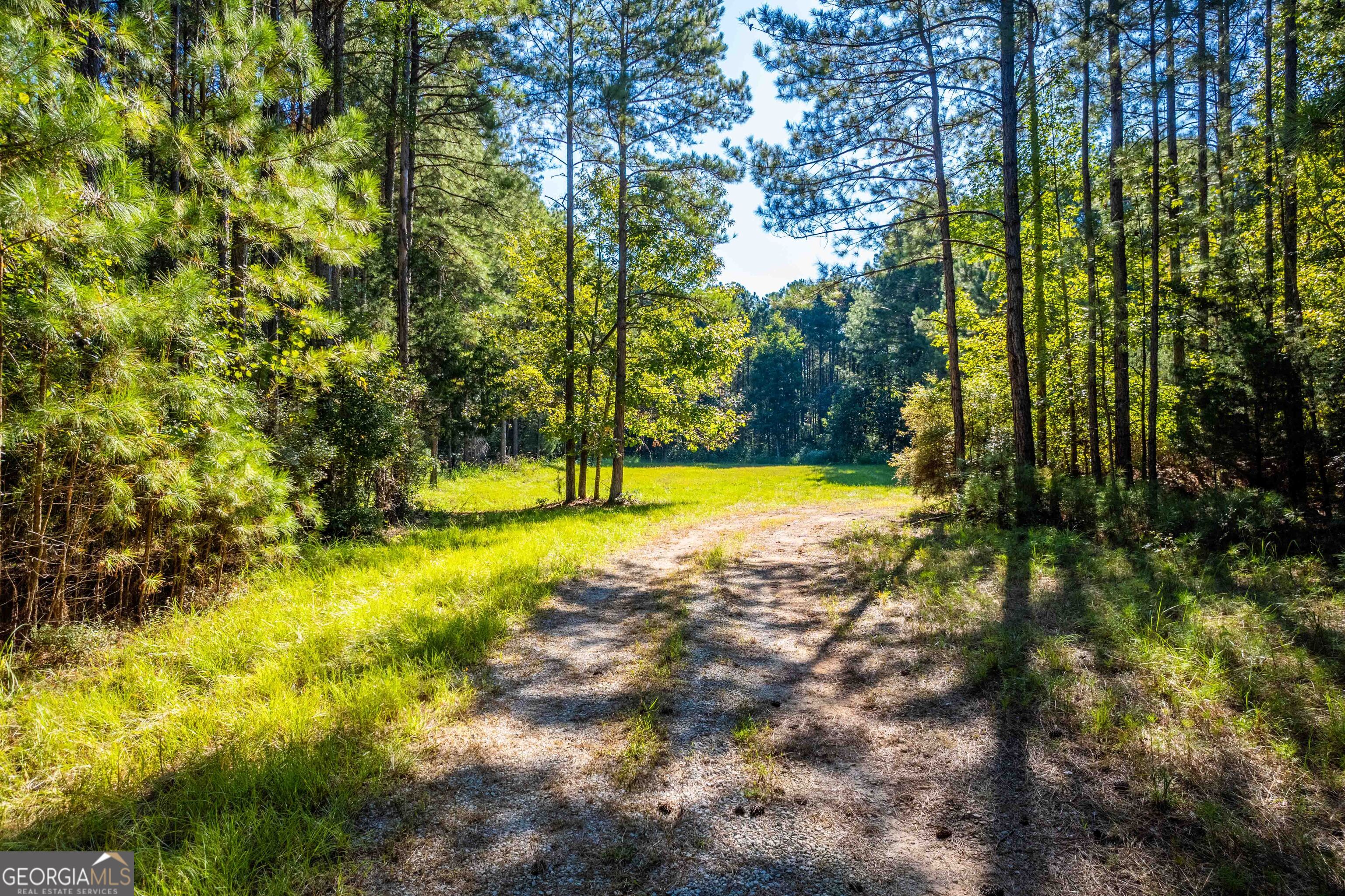 1876 Bobby Brown State Park Road Property Photo 21