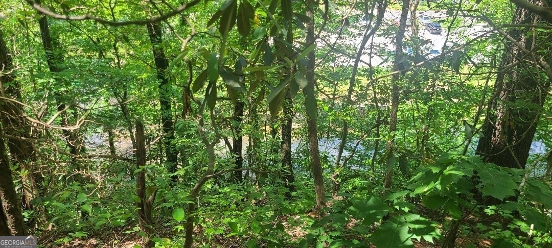 0 Ber Weg Property Photo 3
