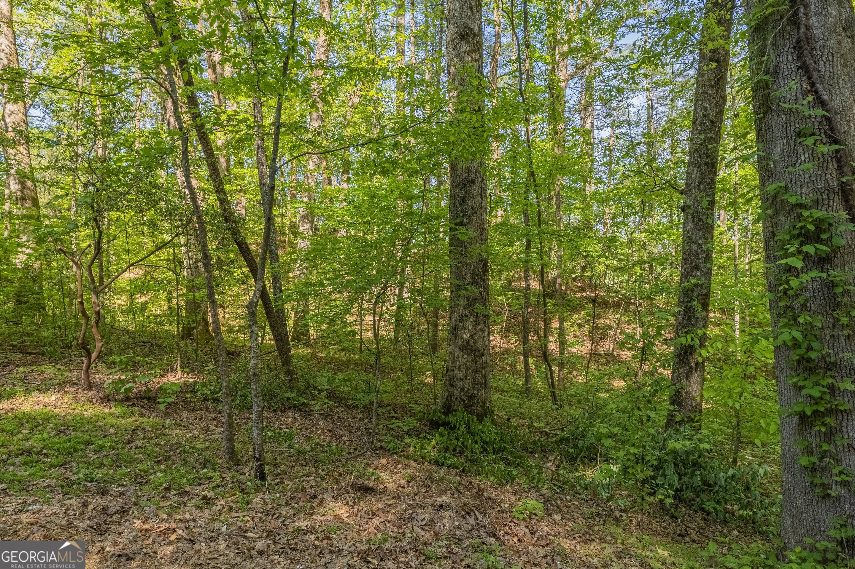 0 Ber Weg Property Photo 7