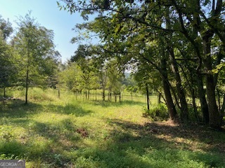 432 Mulberry Road Property Photo 3