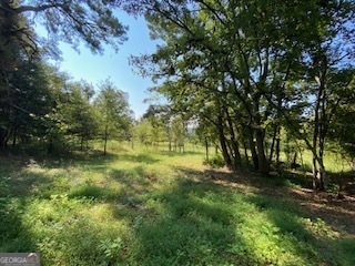 432 Mulberry Road Property Photo 4