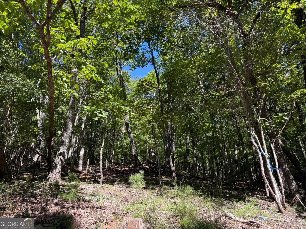 0 Moss Patch Trail Property Photo 2