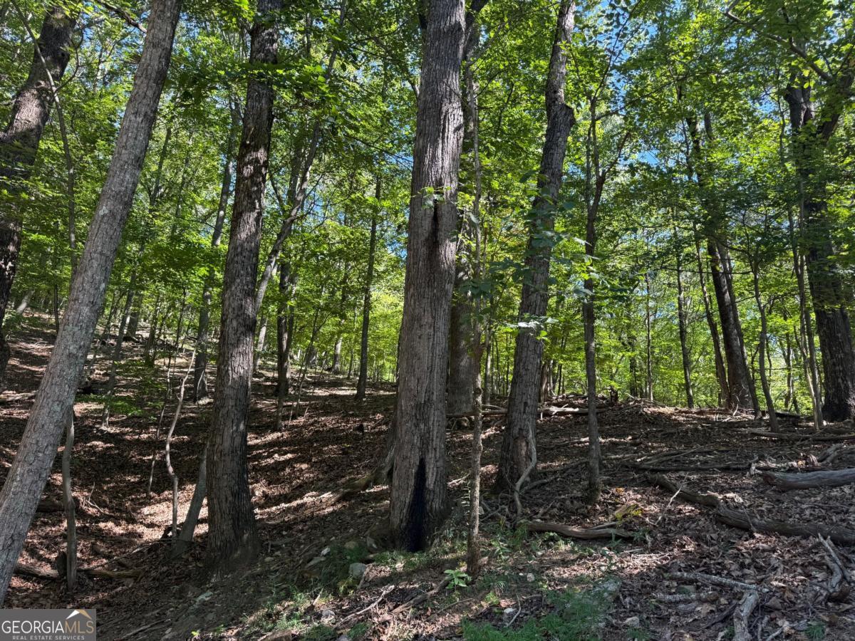 0 Moss Patch Trail Property Photo 3