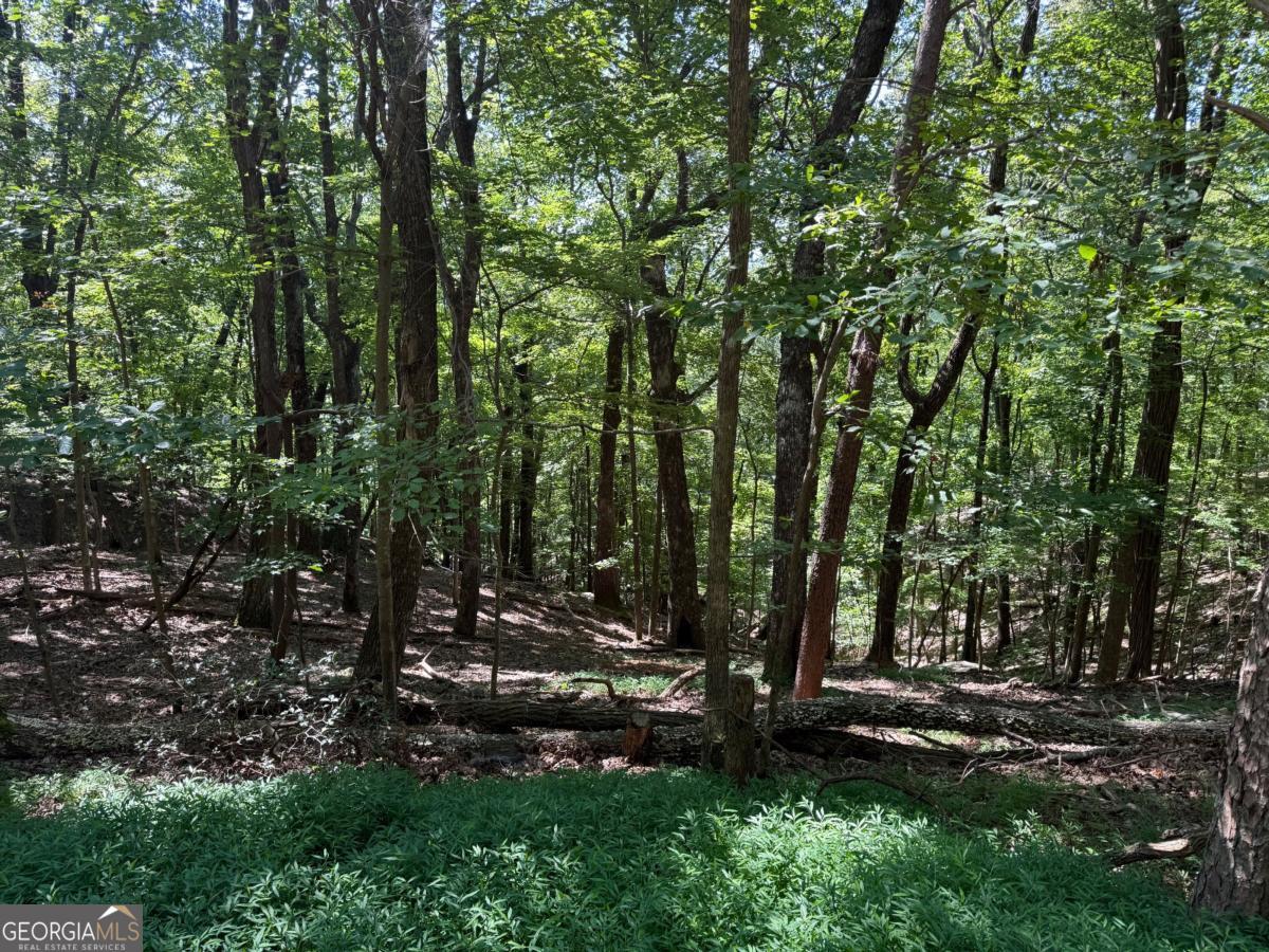 0 Moss Patch Trail Property Photo 4