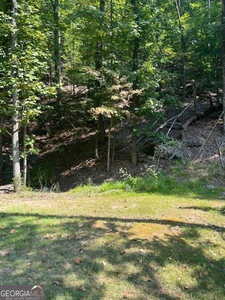 182 Morse Elm Loop Property Photo 13