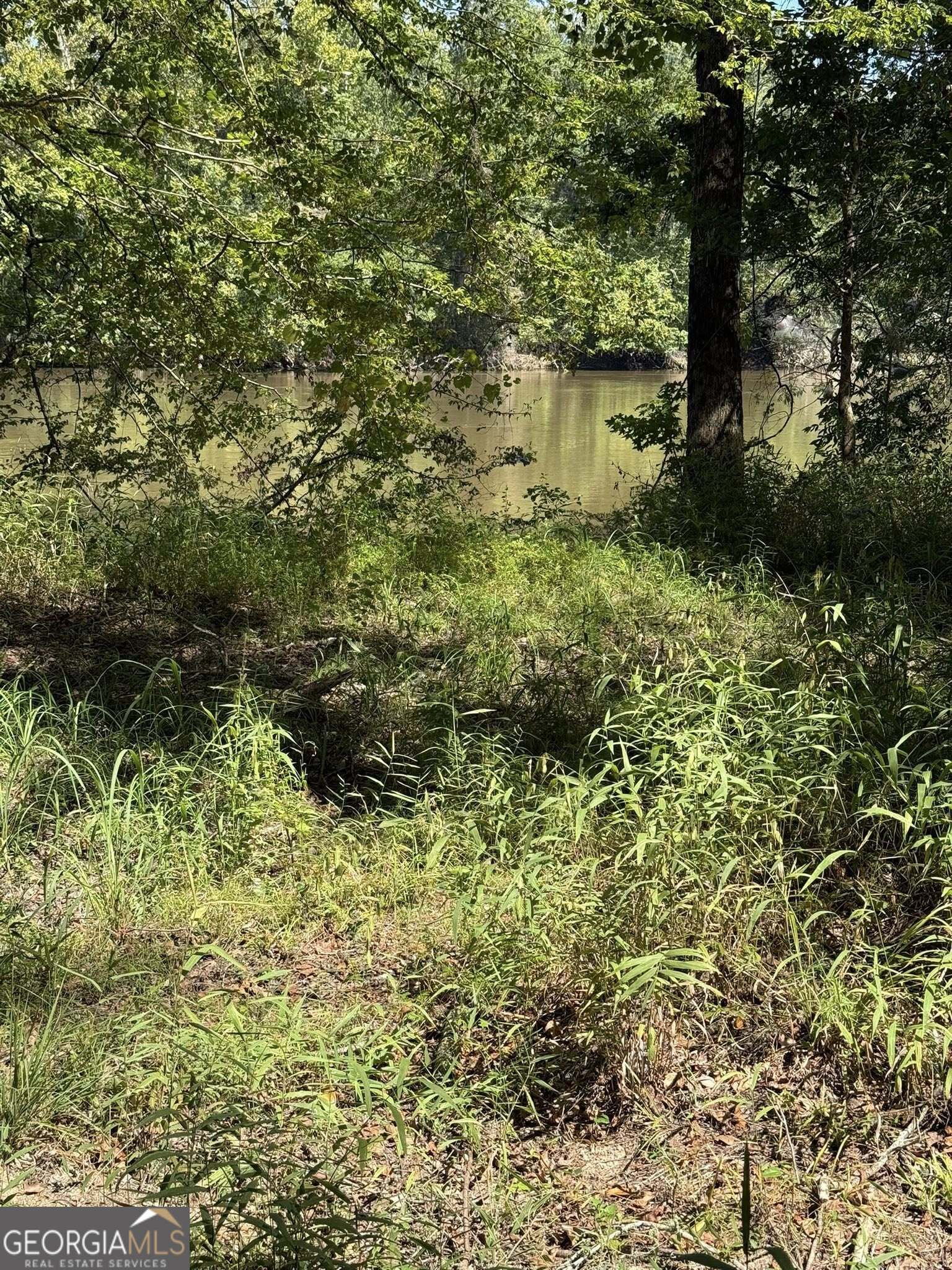 0 Charles Lane Property Photo 1