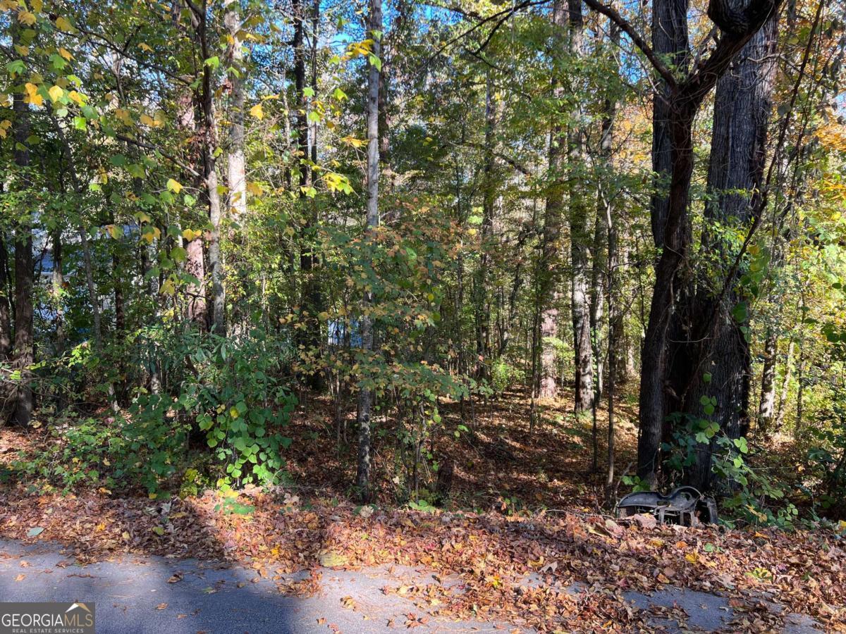 130 Valley Drive Property Photo 3