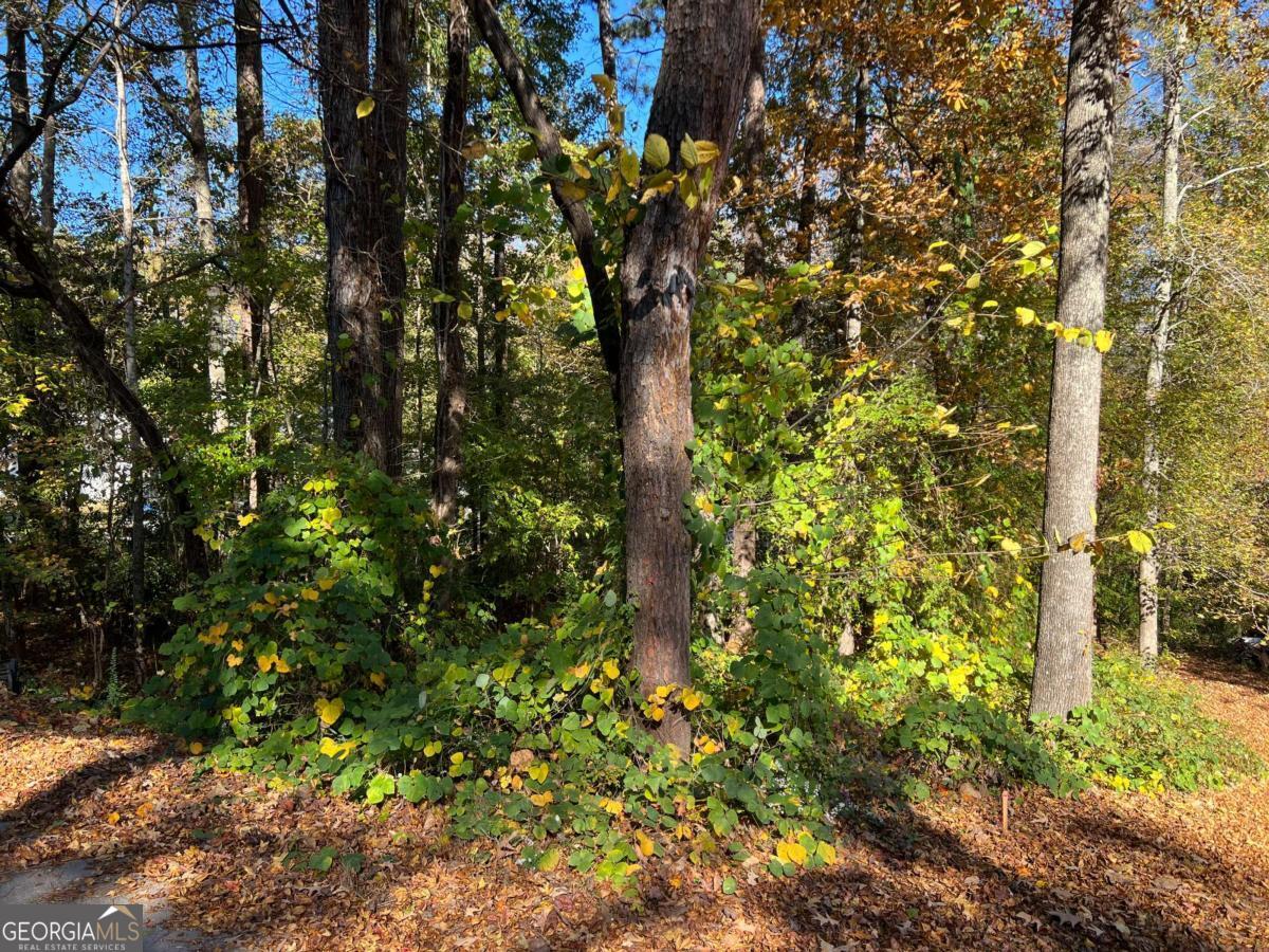 130 Valley Drive Property Photo 5