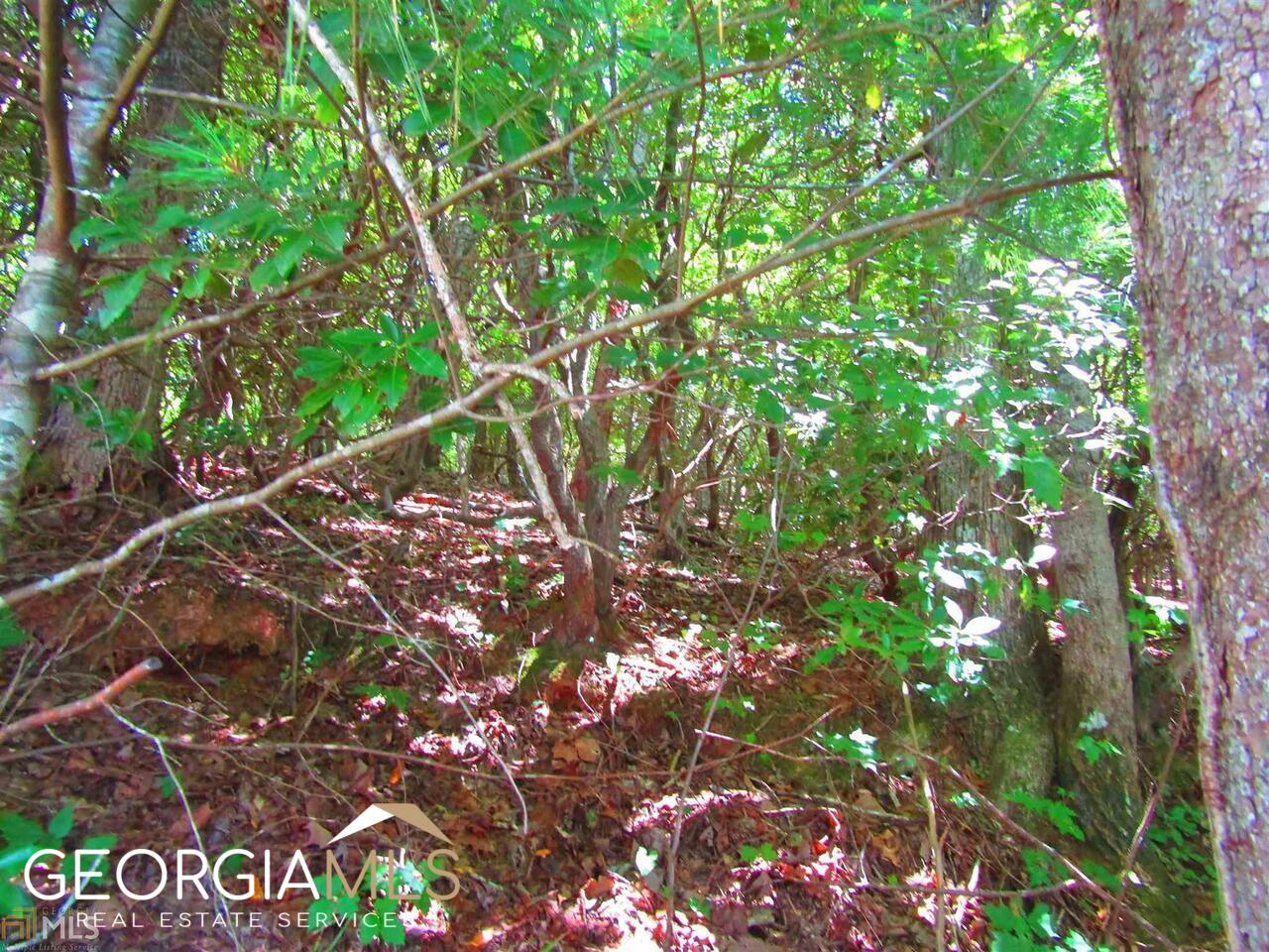 0 Kingwood Drive Property Photo 6