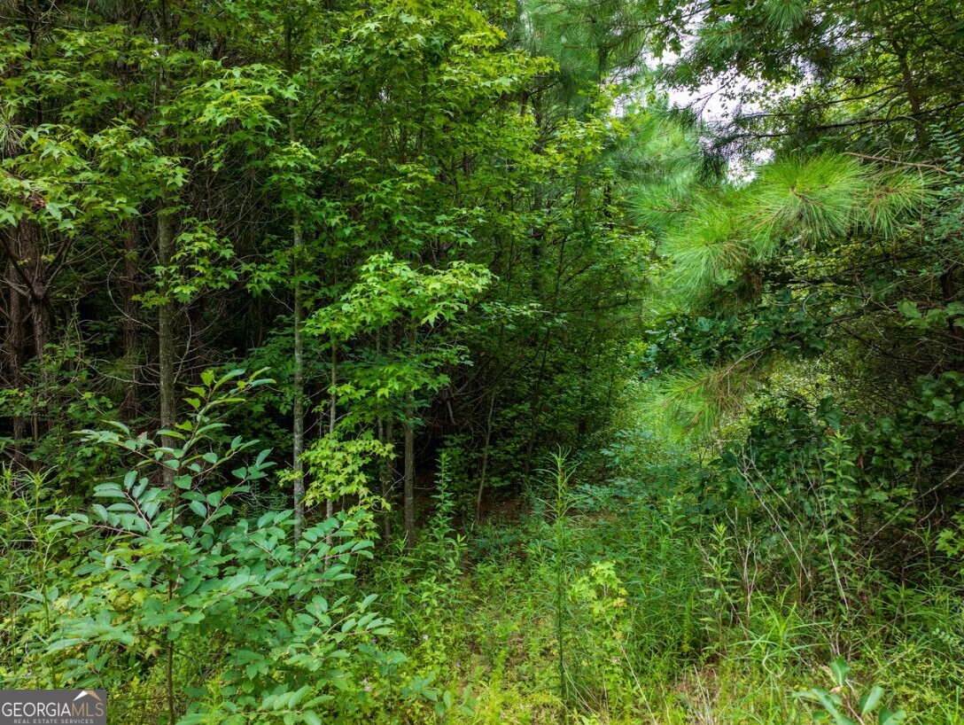 0 Double Pond Trail # 1 Property Photo 7