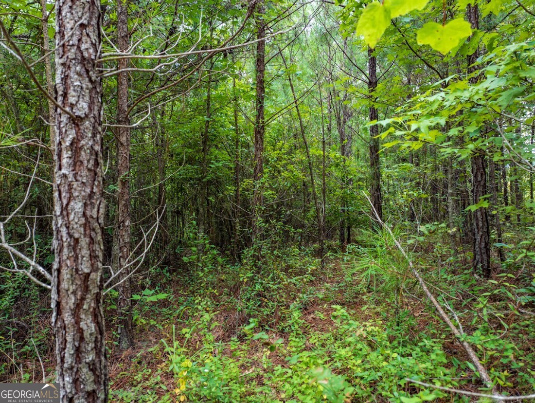 0 Double Pond Trail # 1 Property Photo 16