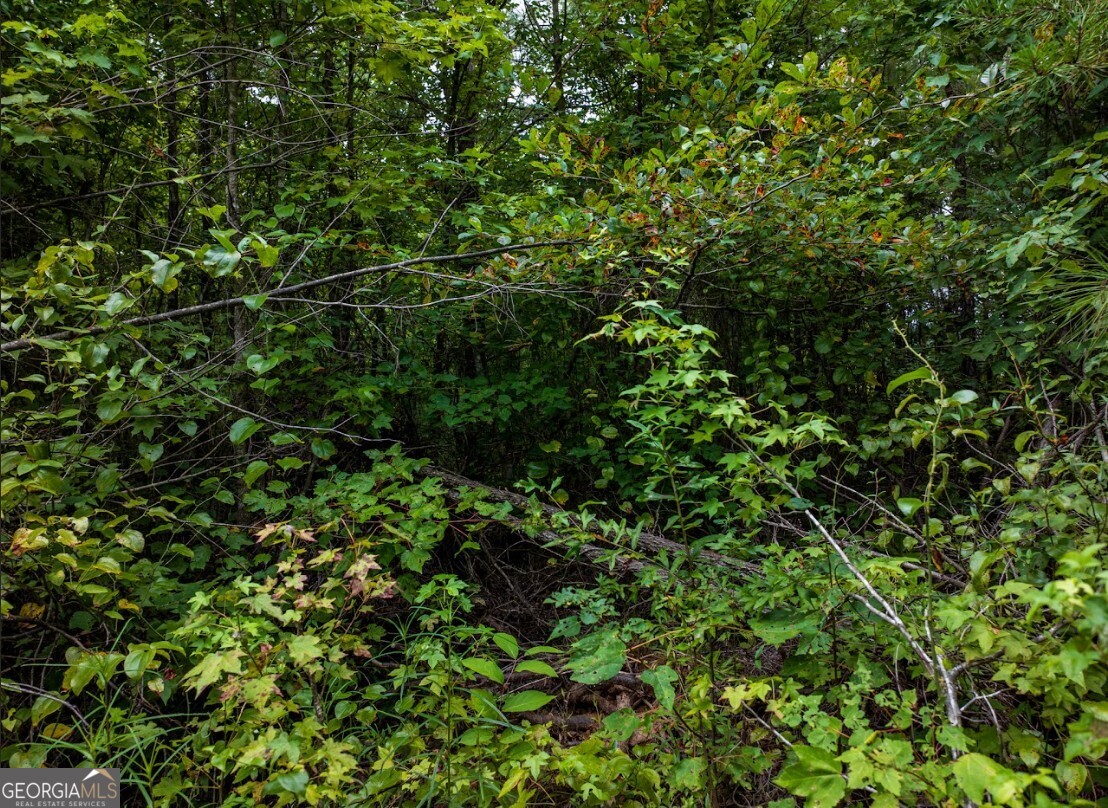 0 Double Pond Trail # 1 Property Photo 17