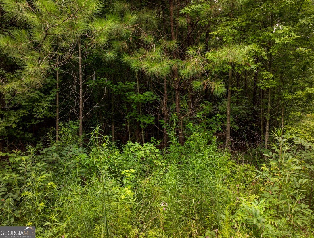 0 Double Pond Trail # 1 Property Photo 18