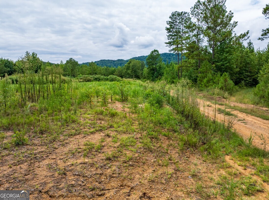 0 Double Pond Trail # 1 Property Photo 19