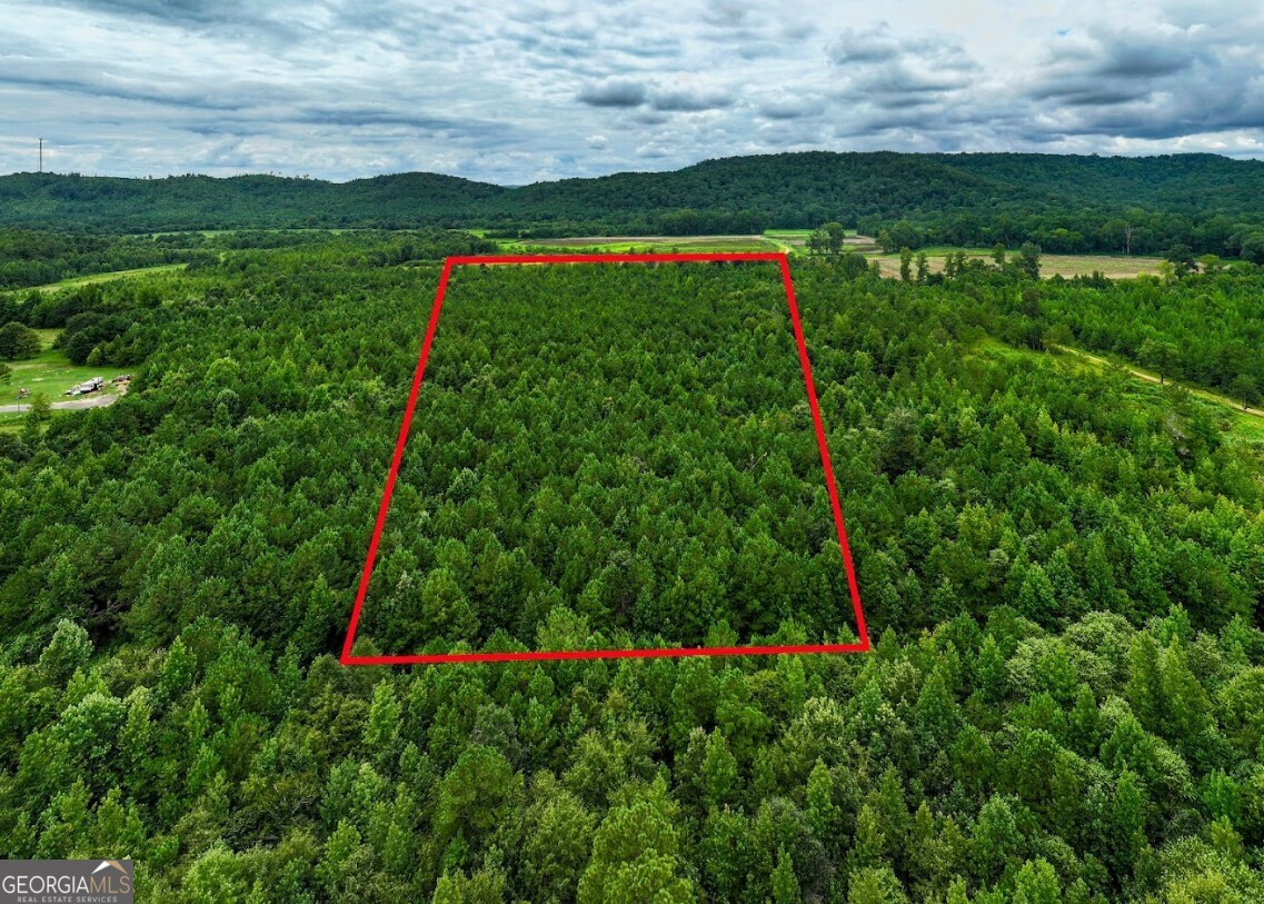 0 Double Pond Trail # 1 Property Photo 20
