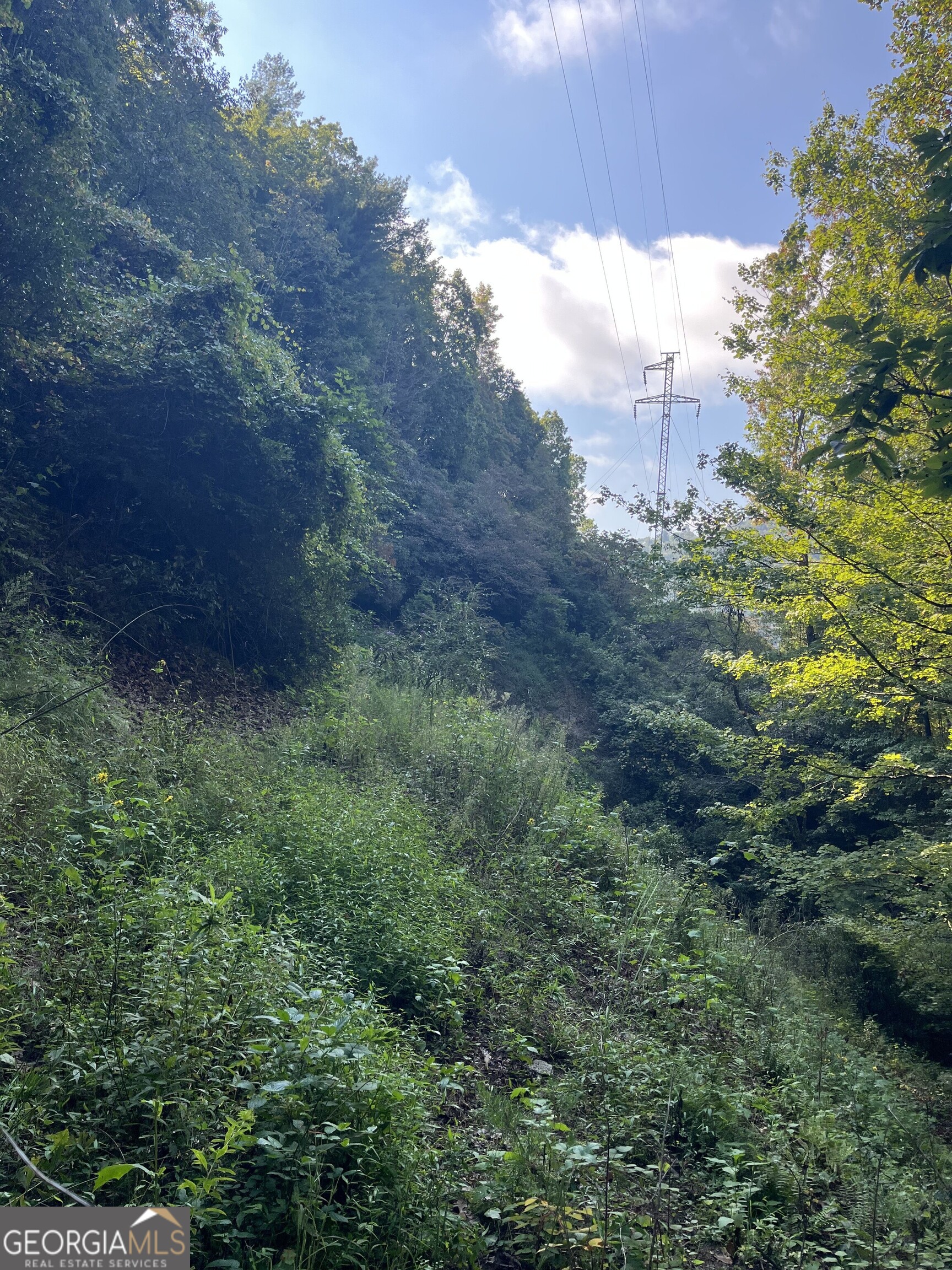 0 Tuckaway Lane Property Photo 3