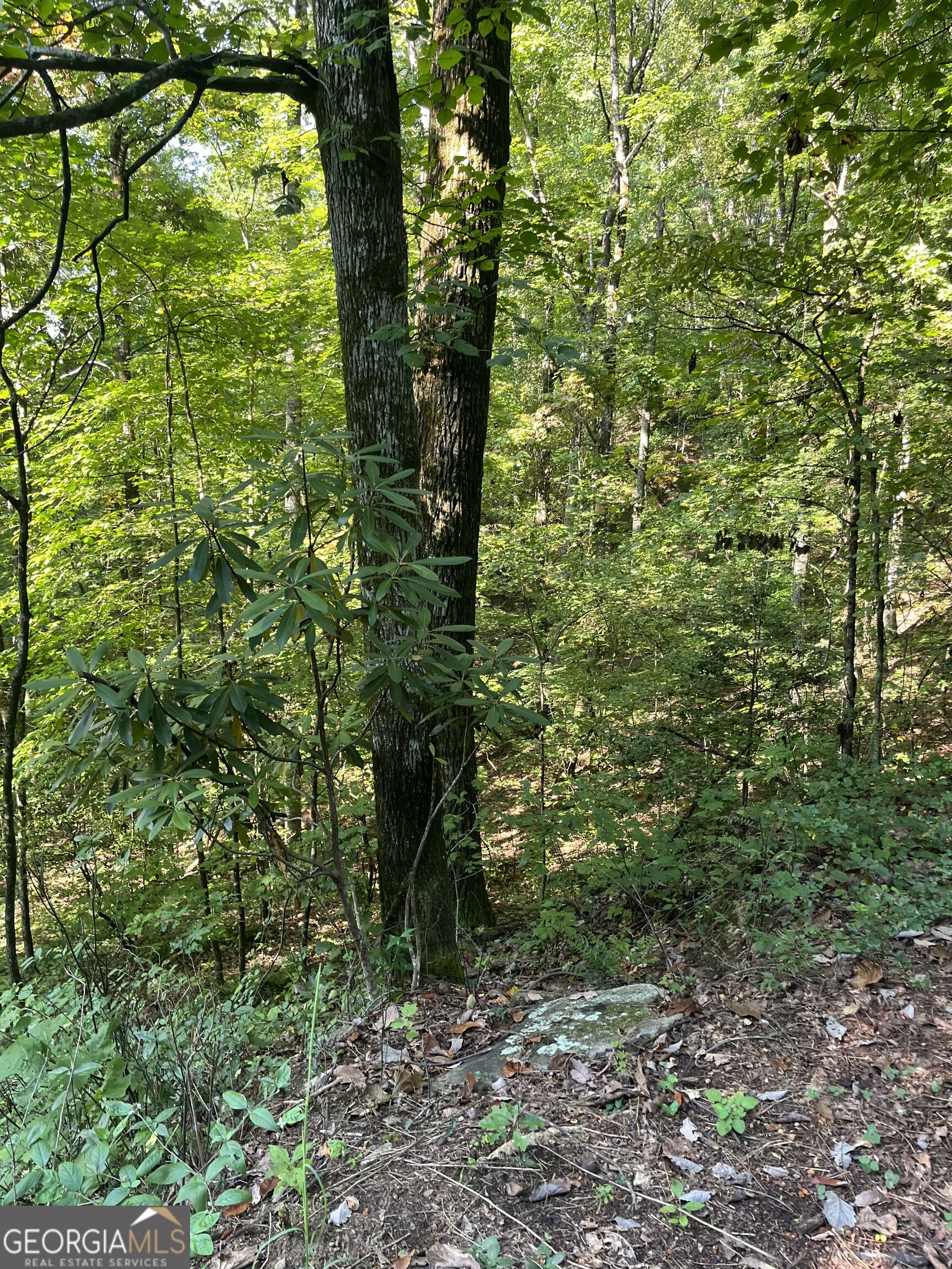 0 Tuckaway Lane Property Photo 5