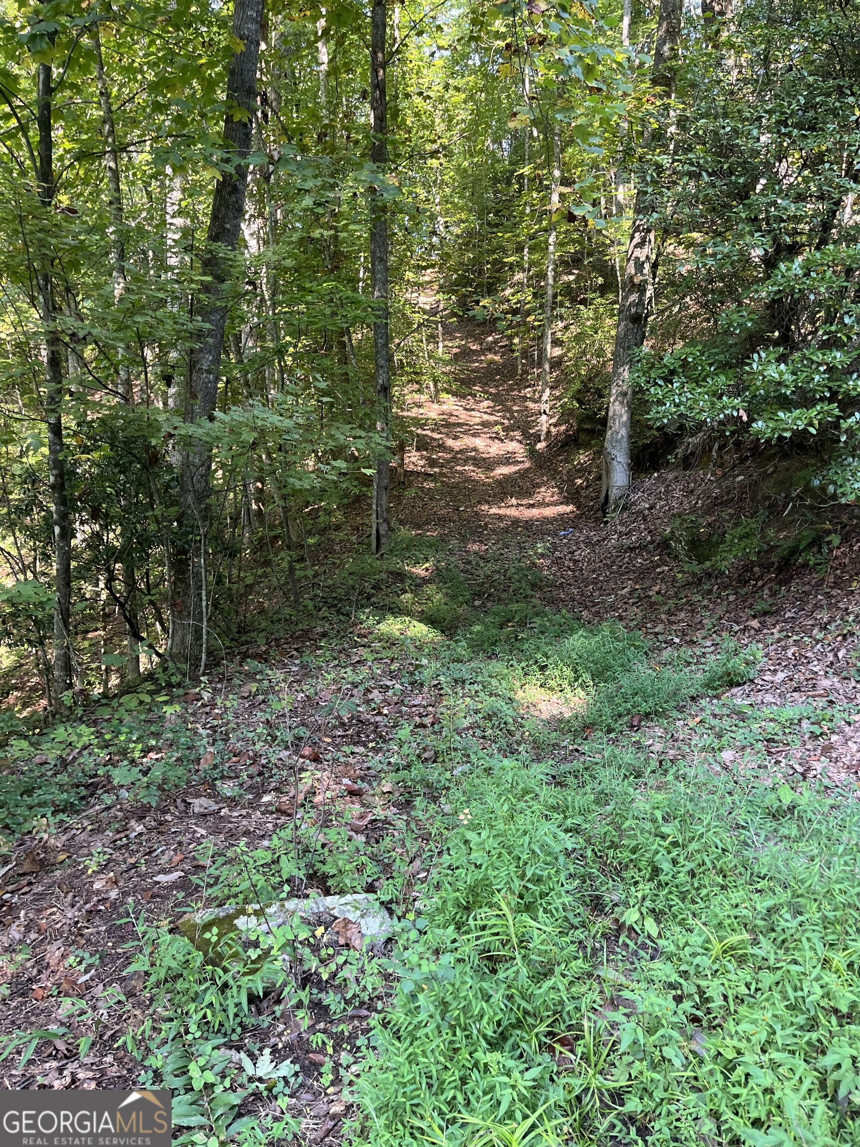 0 Tuckaway Lane Property Photo 8
