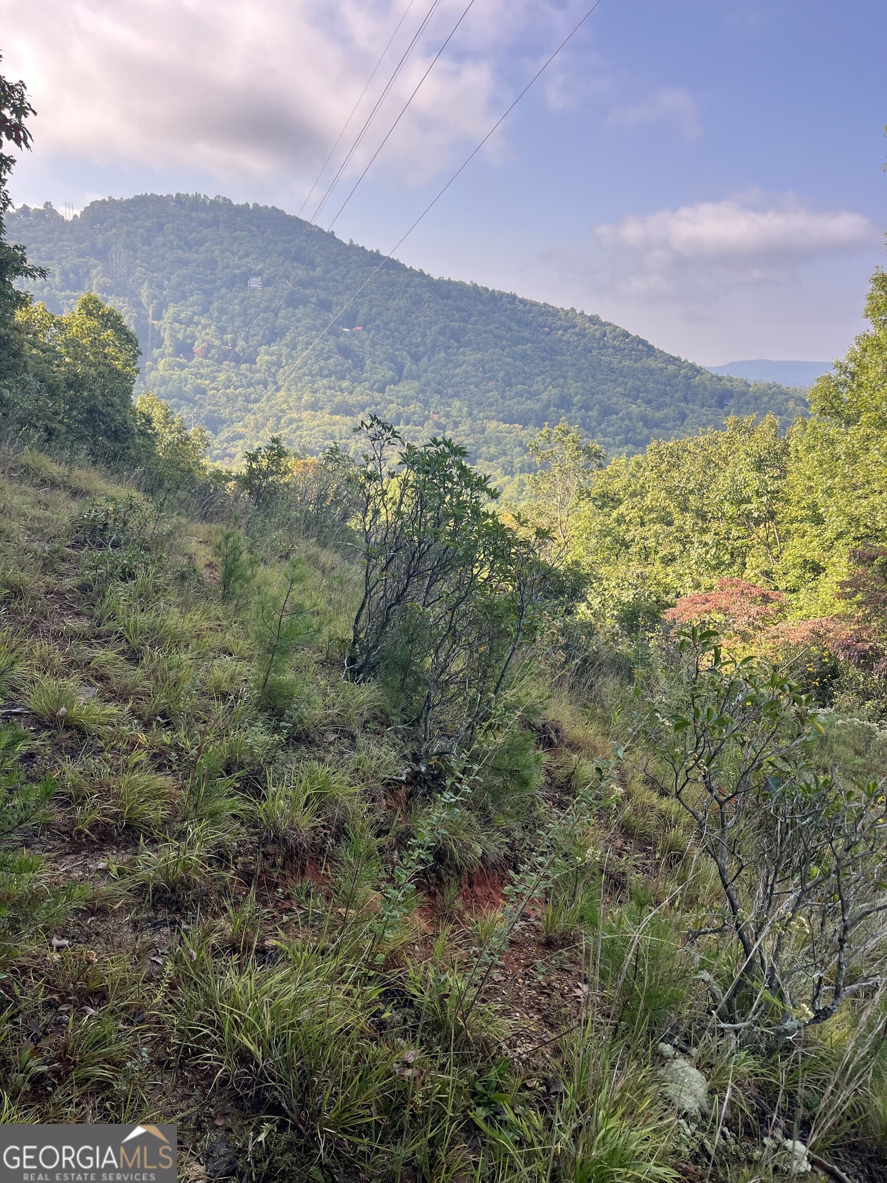 0 Tuckaway Lane Property Photo 11