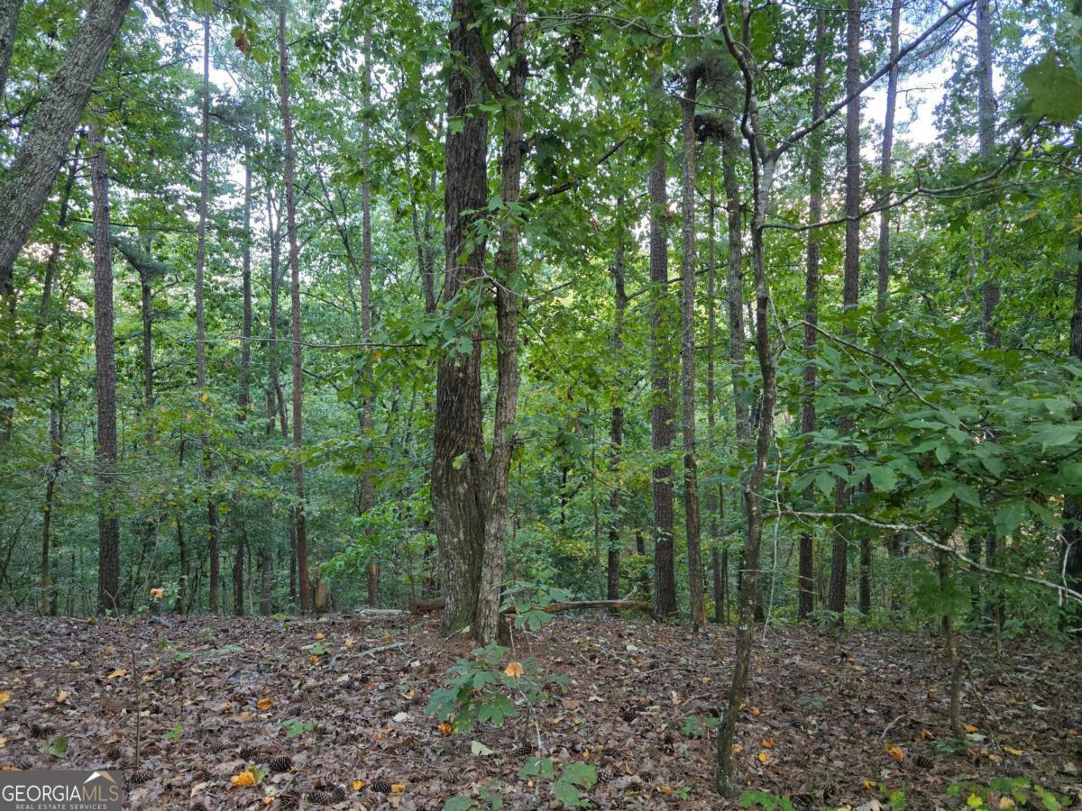 0 Old Goodie Mtn Road Se Property Photo 1