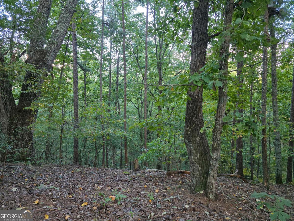 0 Old Goodie Mtn Road Se Property Photo 2