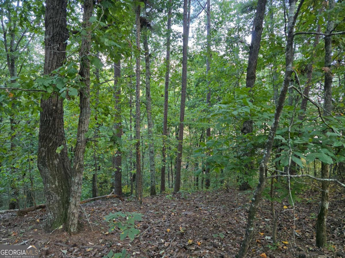 0 Old Goodie Mtn Road Se Property Photo 3