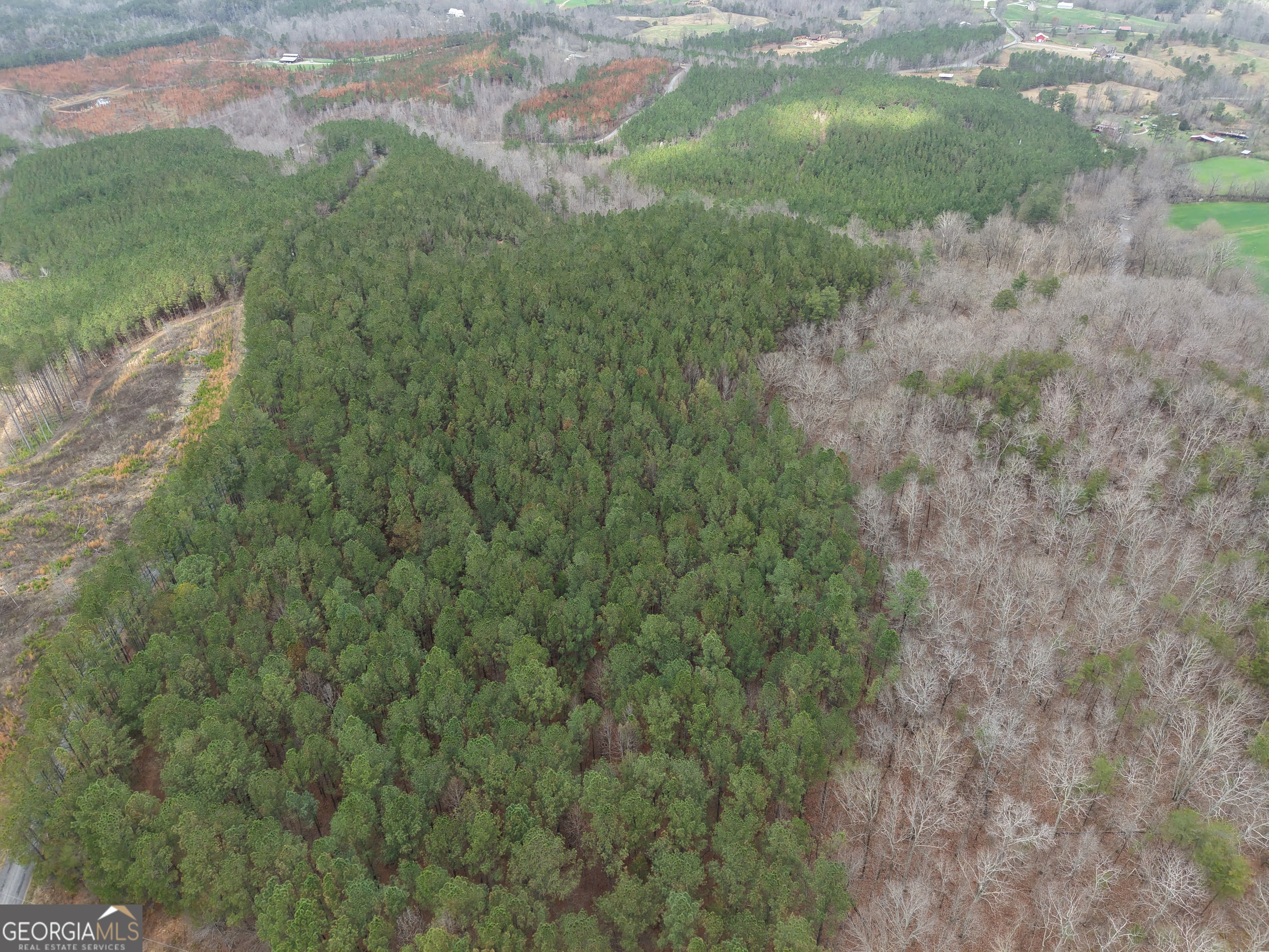 0 Johnson Mountain Road # B Property Photo 2
