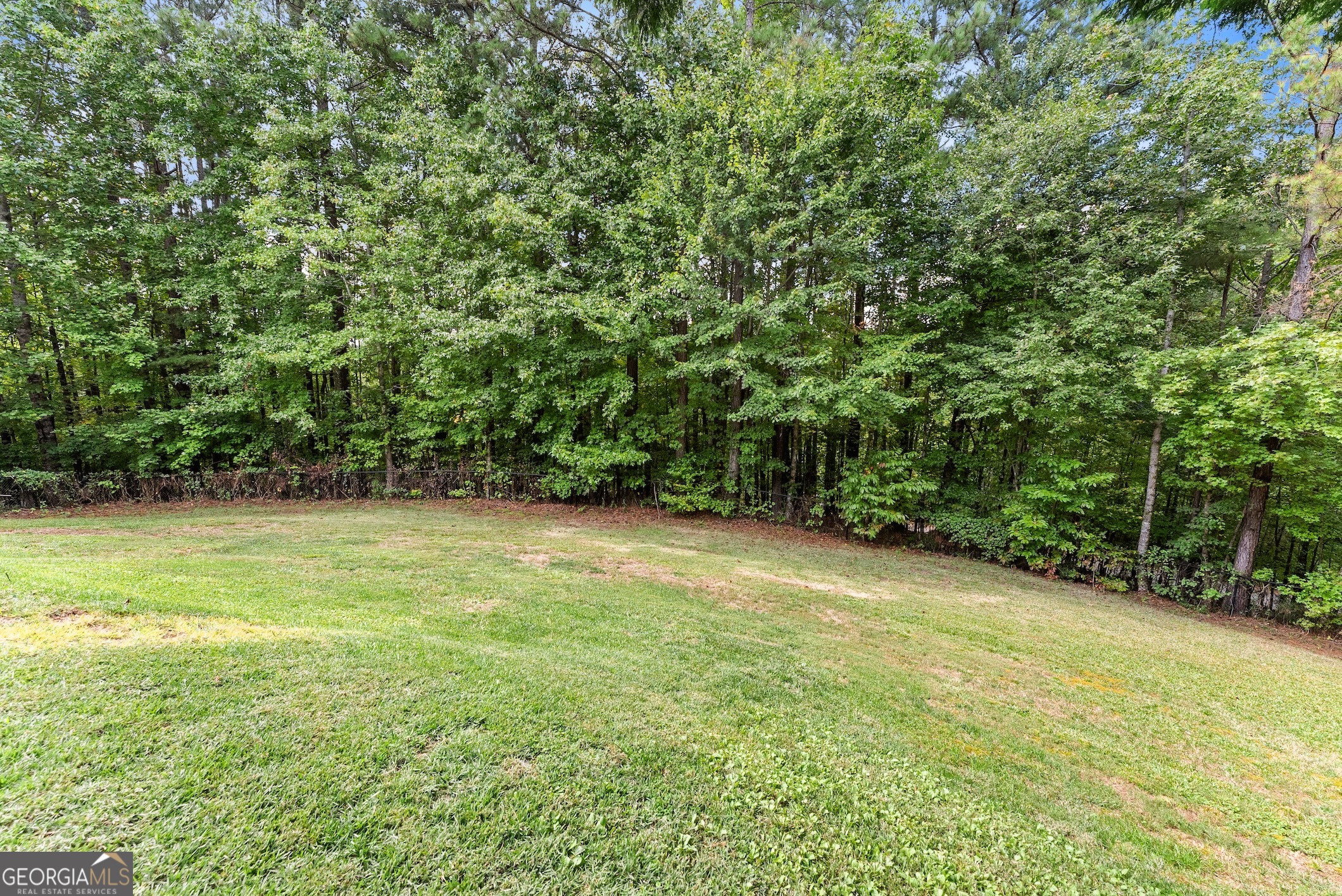 166 High Meadow Trail Property Photo 49