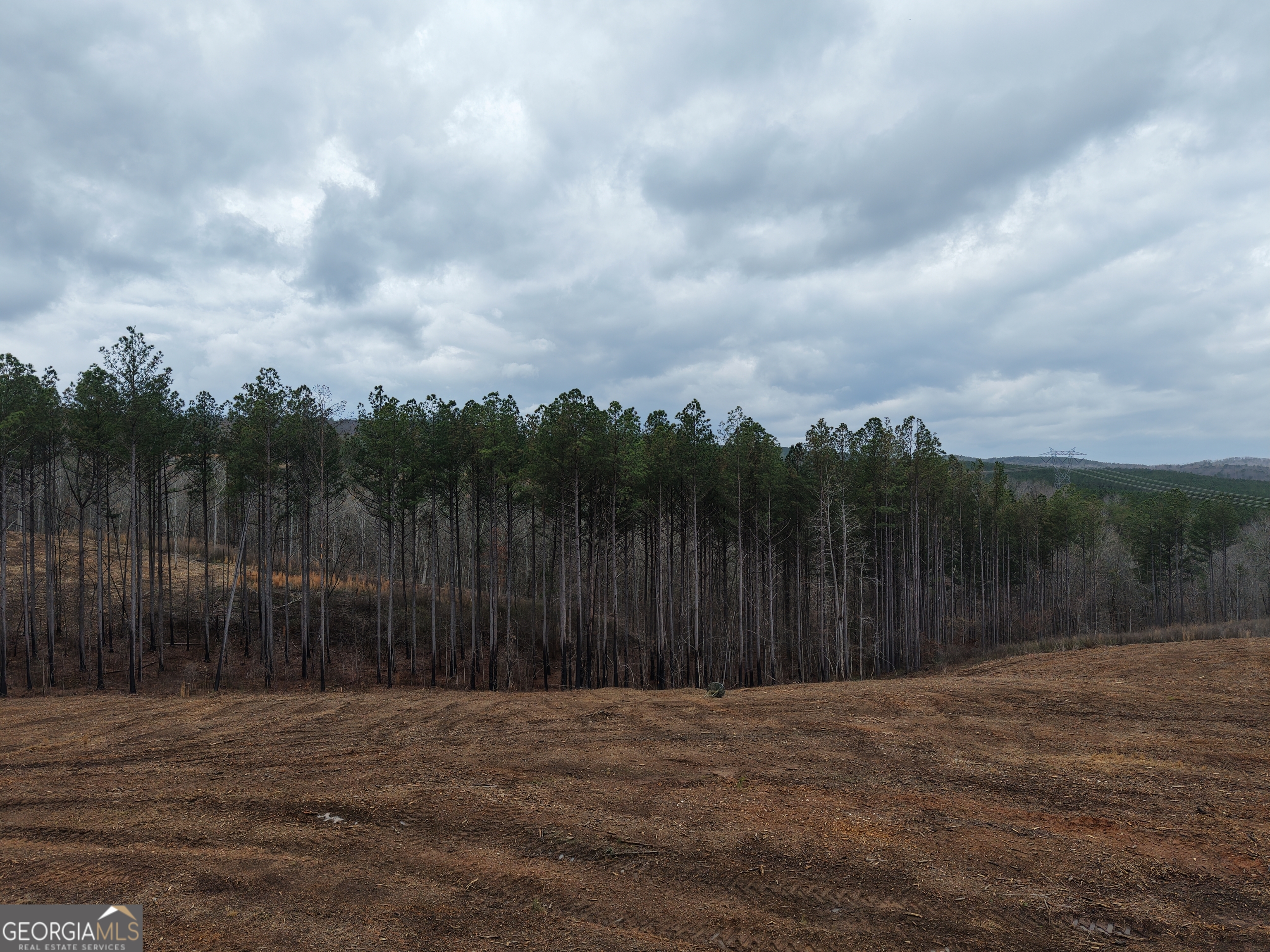 0 Johnson Mountain Road # D Property Photo 11