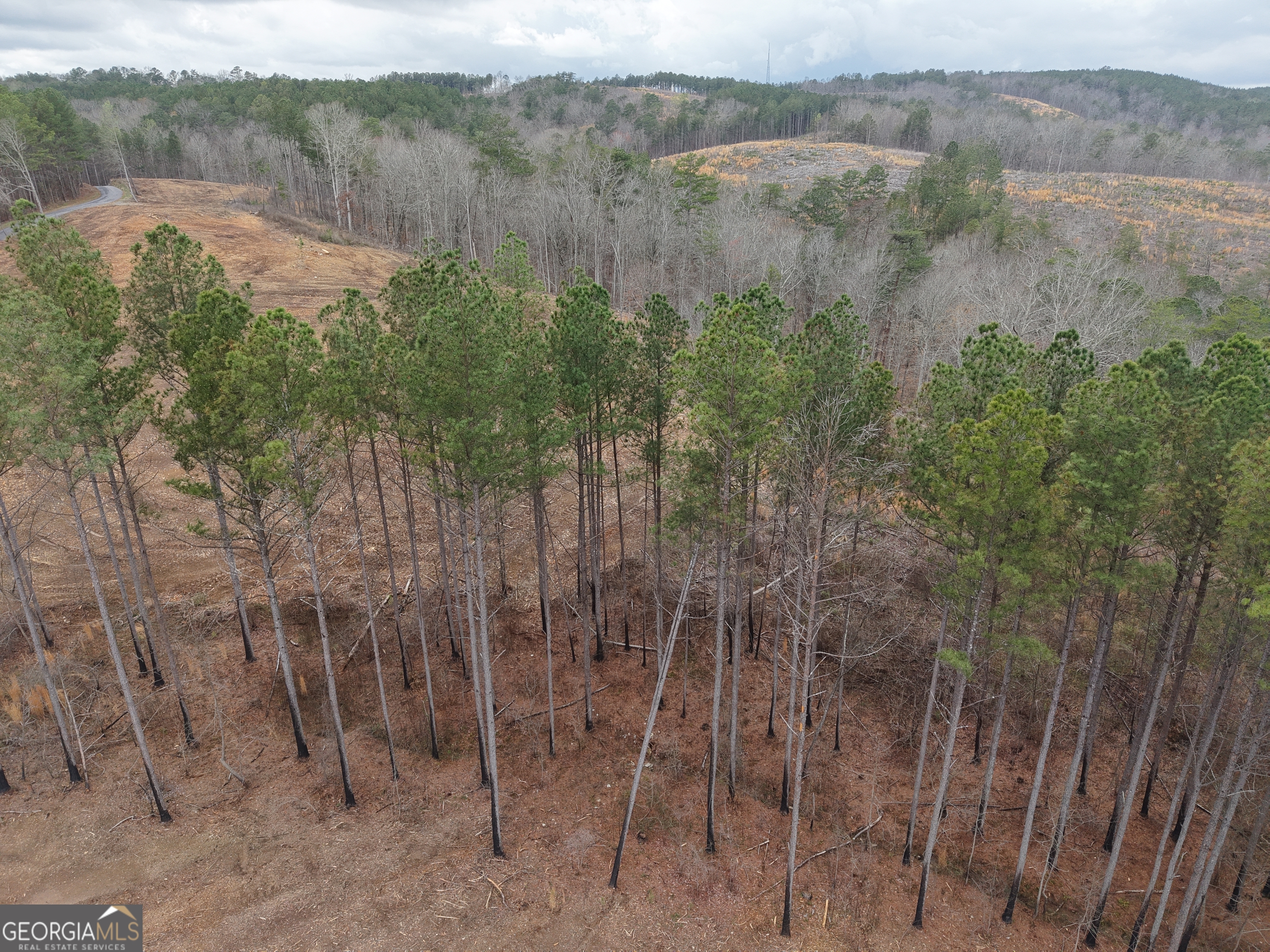 0 Johnson Mountain Road Property Photo 2