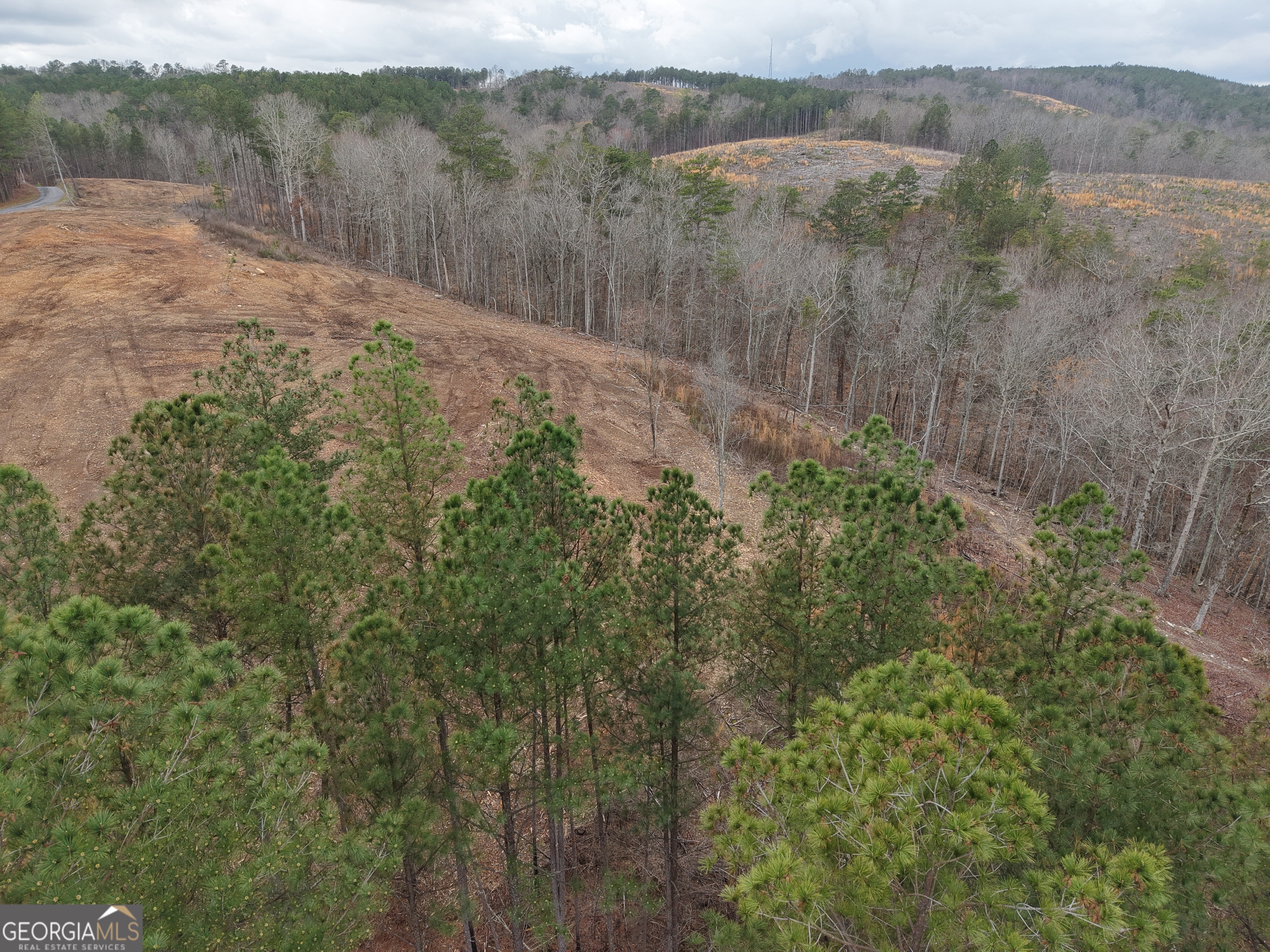 0 Johnson Mountain Road Property Photo 3