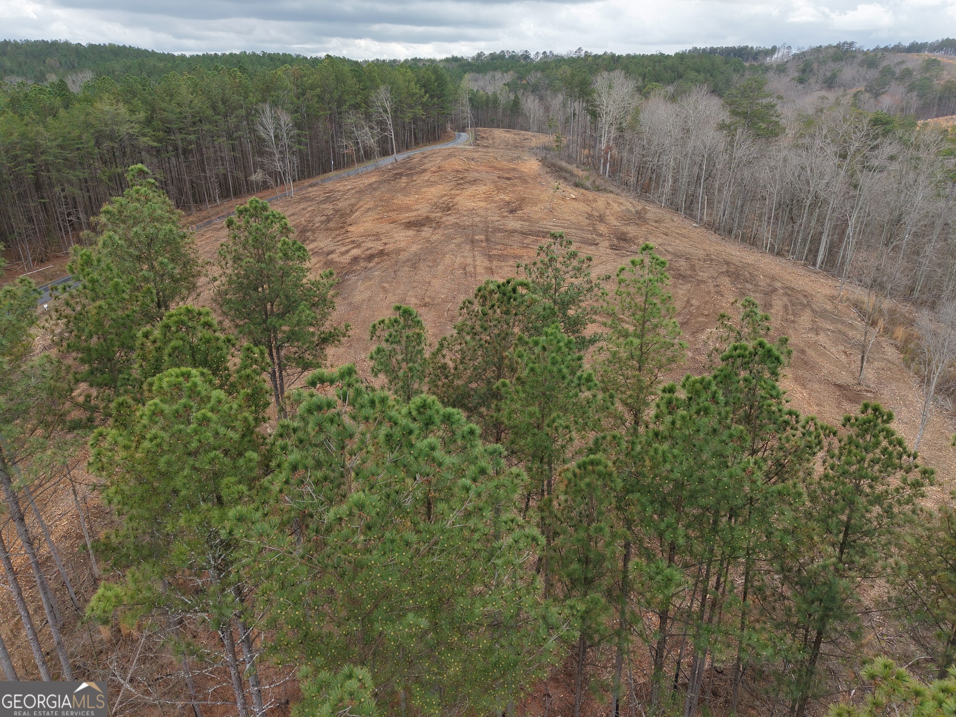 0 Johnson Mountain Road Property Photo 5
