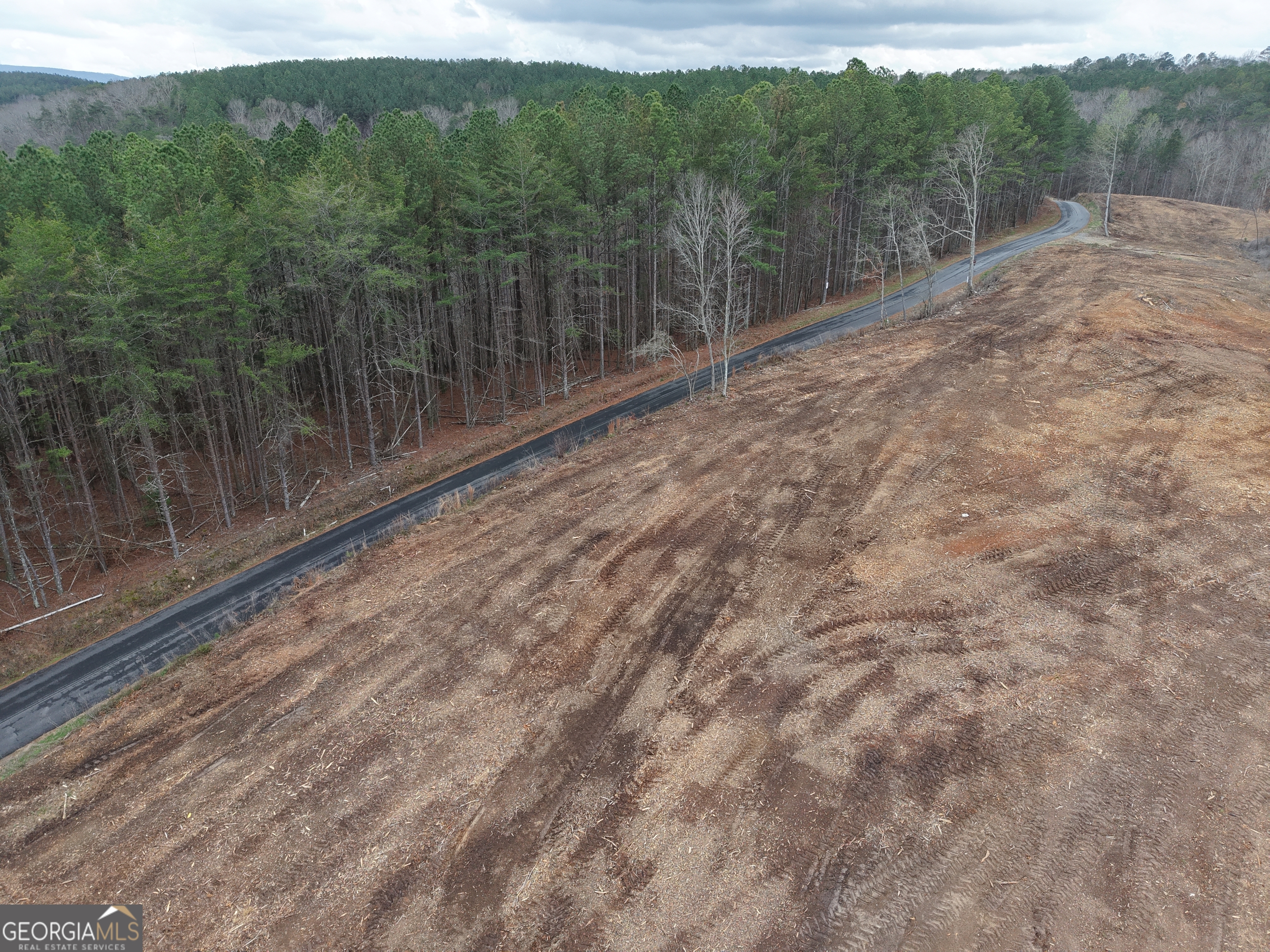 0 Johnson Mountain Road Property Photo 9