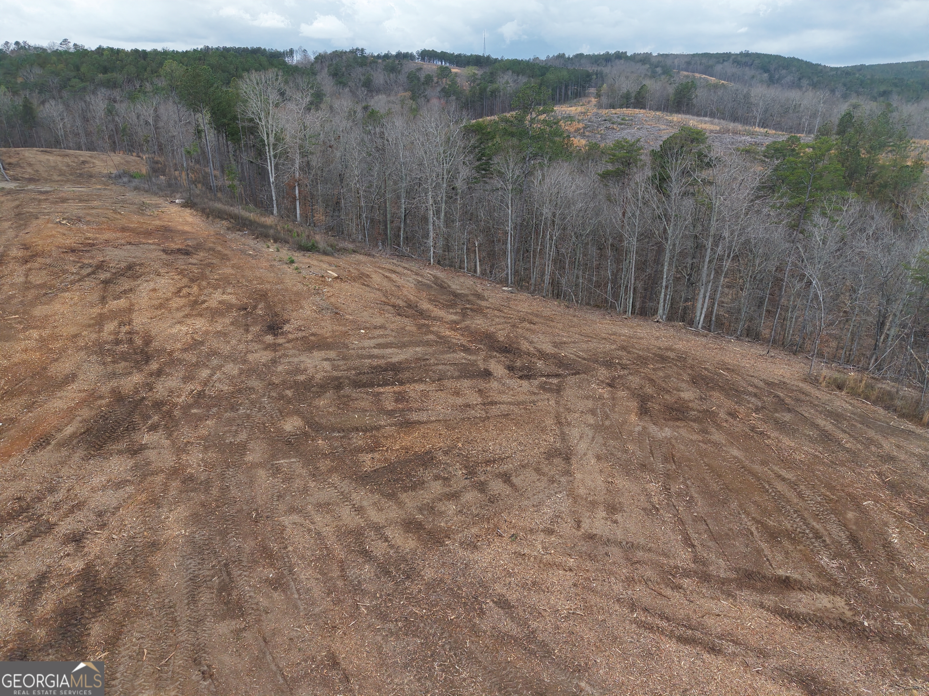 0 Johnson Mountain Road Property Photo 12