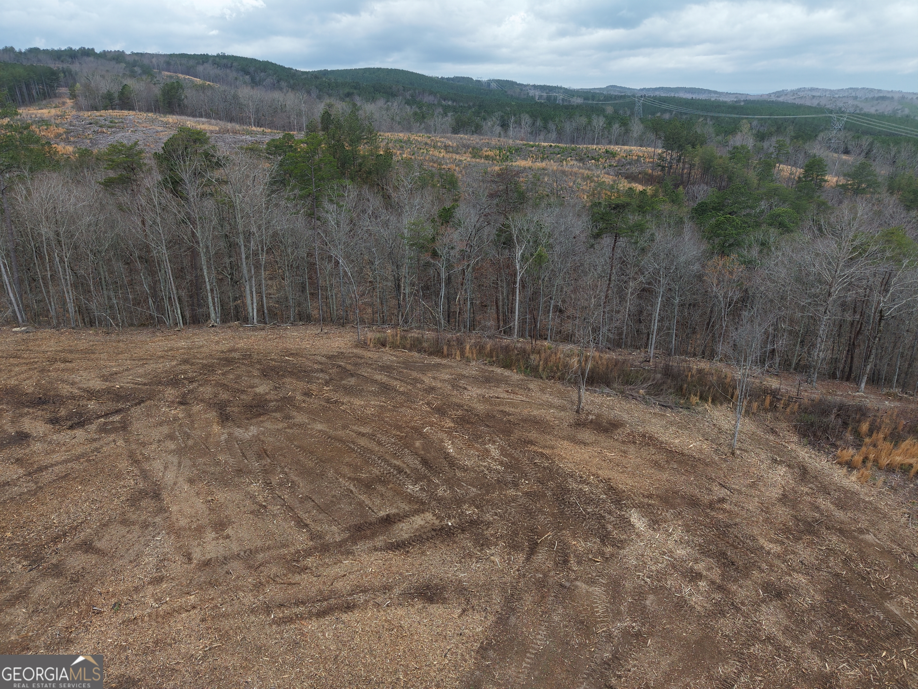 0 Johnson Mountain Road Property Photo 13
