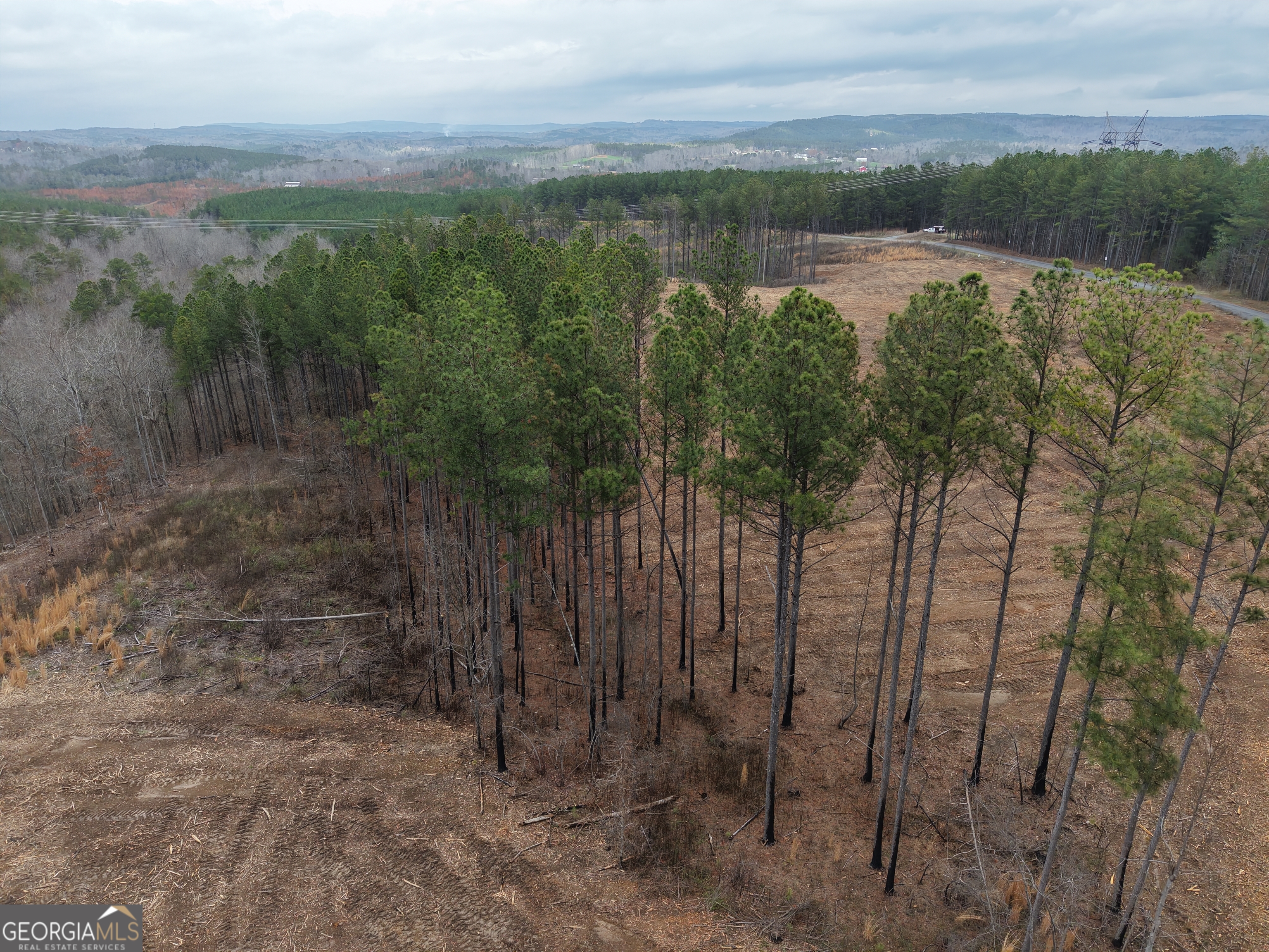 0 Johnson Mountain Road Property Photo 14