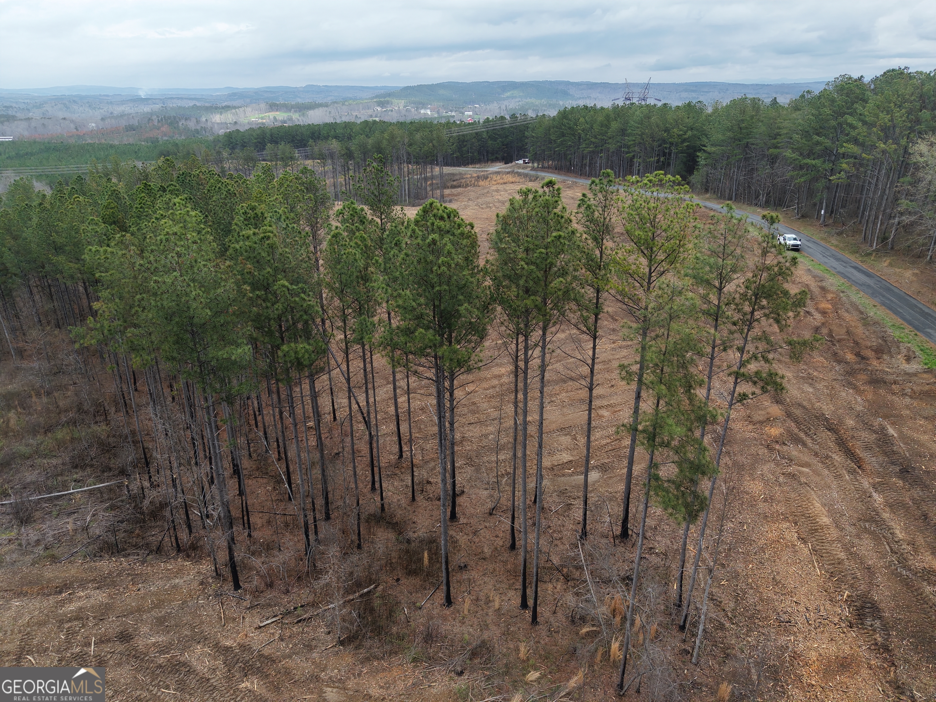 0 Johnson Mountain Road Property Photo 16