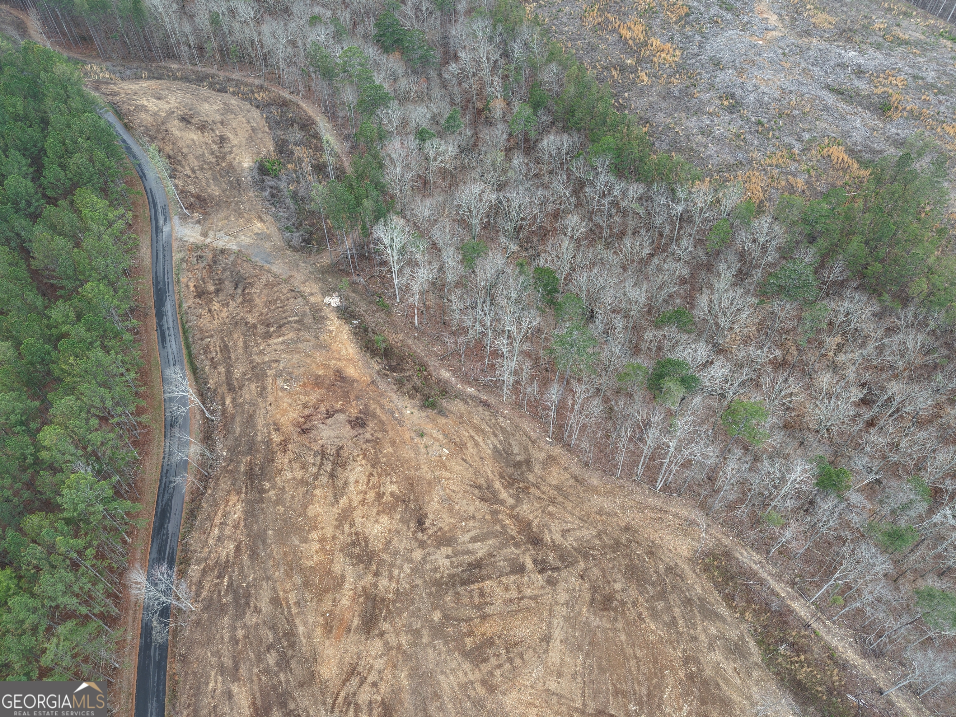 0 Johnson Mountain Road Property Photo 21