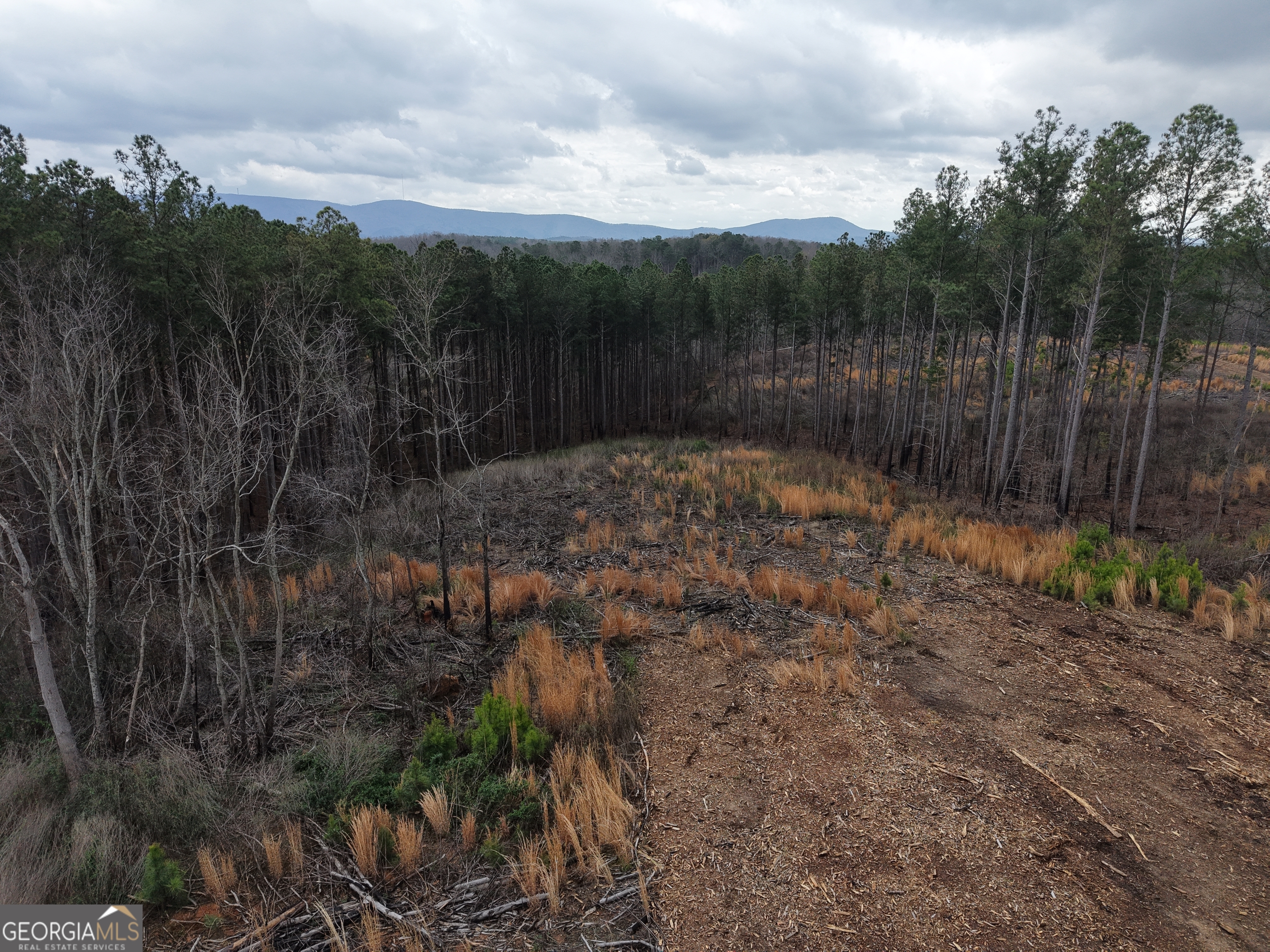 0 Johnson Mountain Road # I Property Photo 22