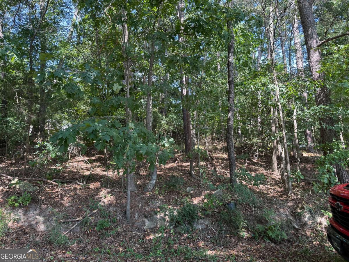 2390 Trailwood Drive Ne Property Photo 3