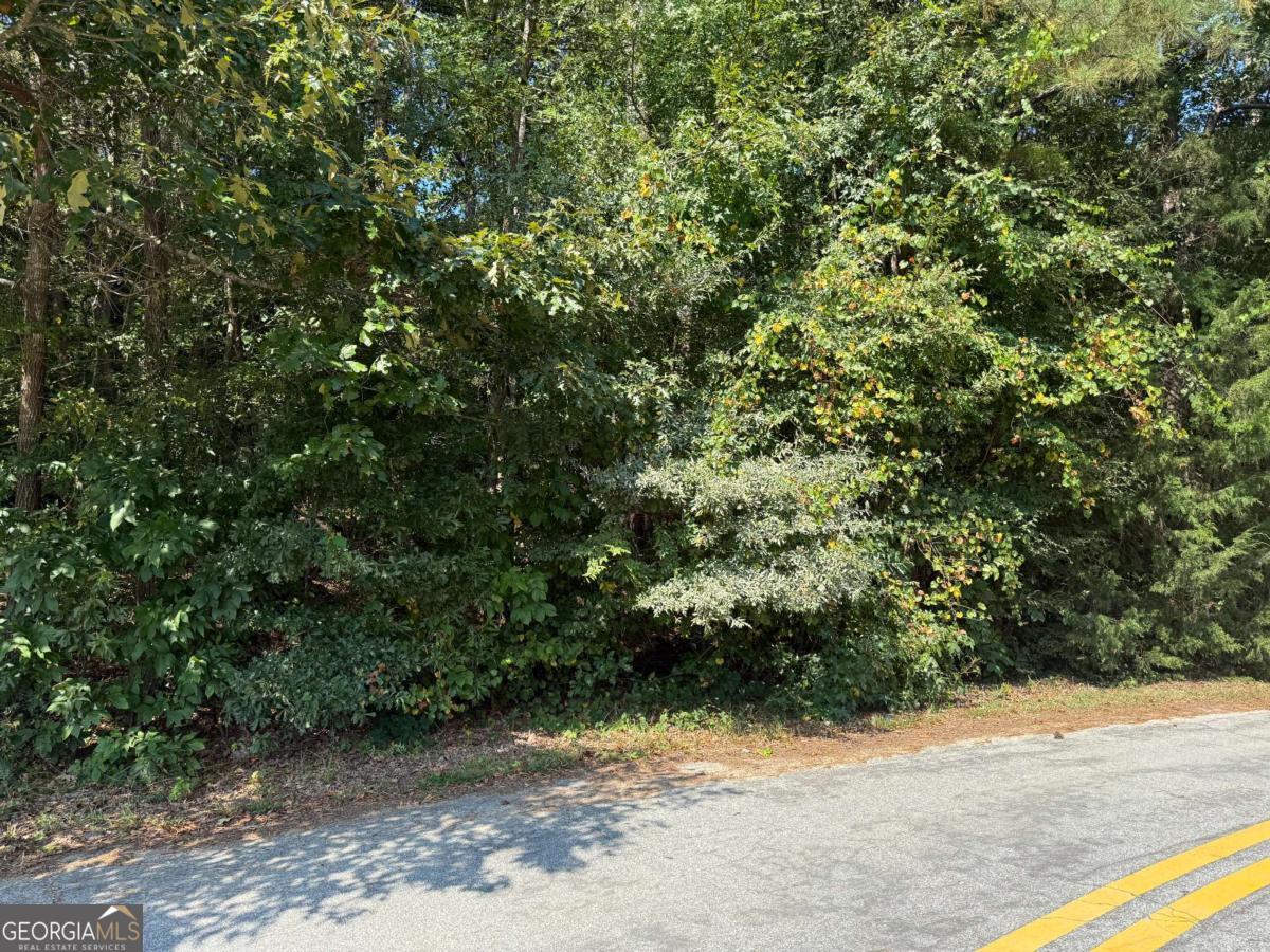 2390 Trailwood Drive Ne Property Photo 5
