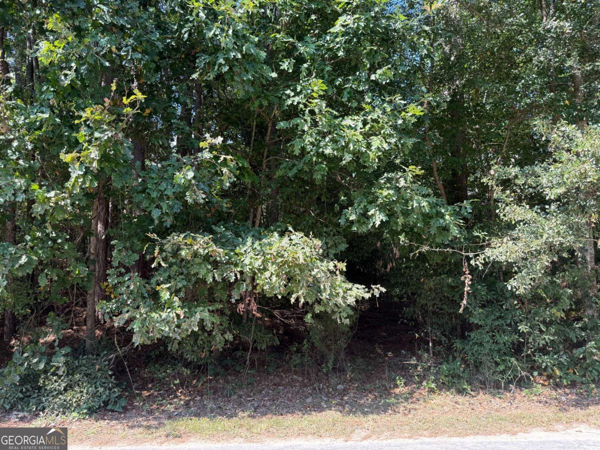 2390 Trailwood Drive Ne Property Photo 6