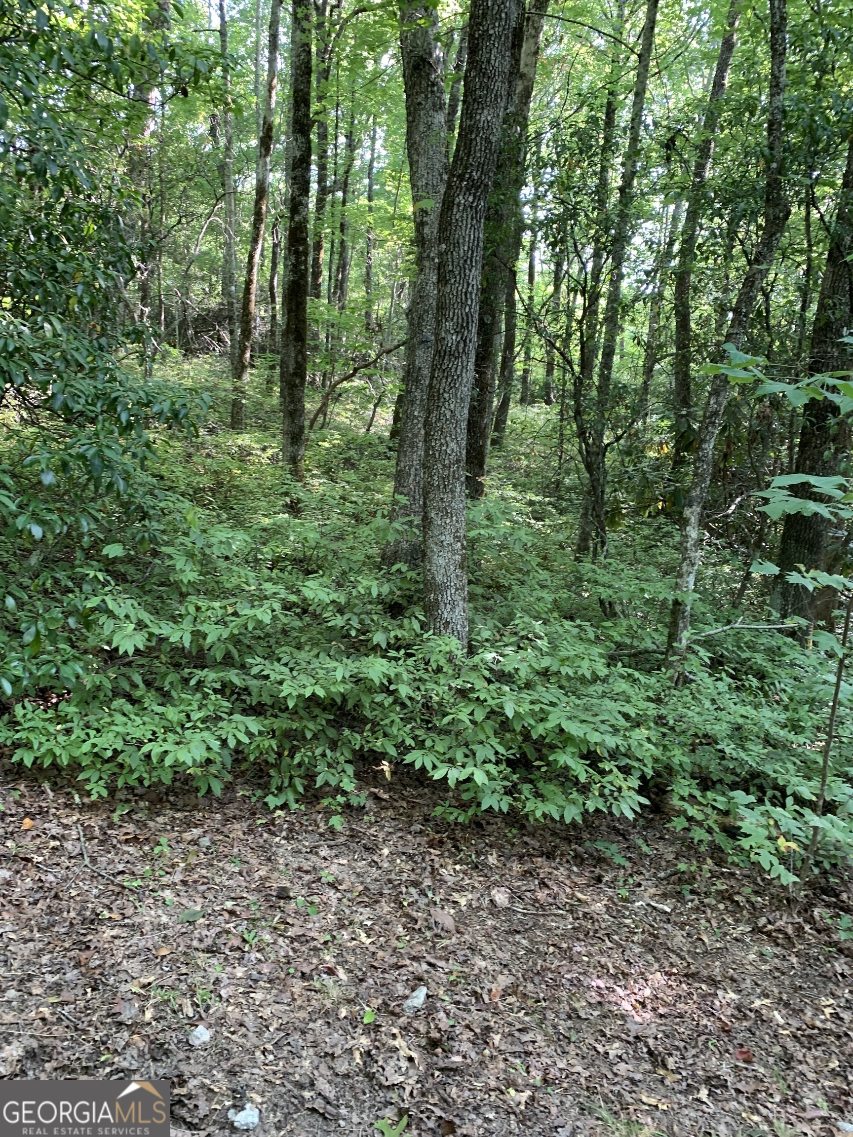 0 Maple Leaf Drive # 6 Property Photo 1